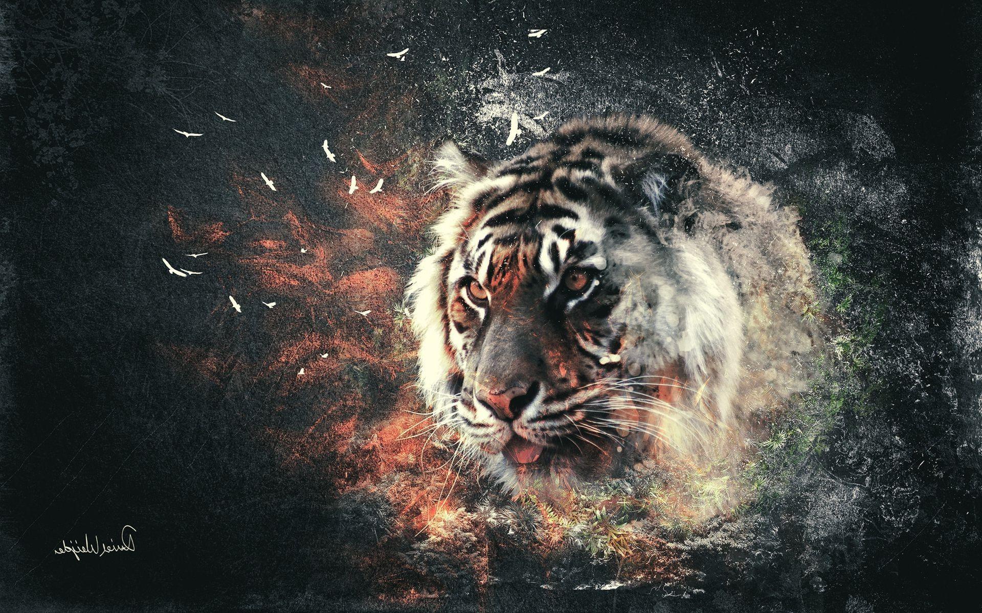 Abstract Tiger Hd Wallpapers Top Free Abstract Tiger Hd Backgrounds Wallpaperaccess