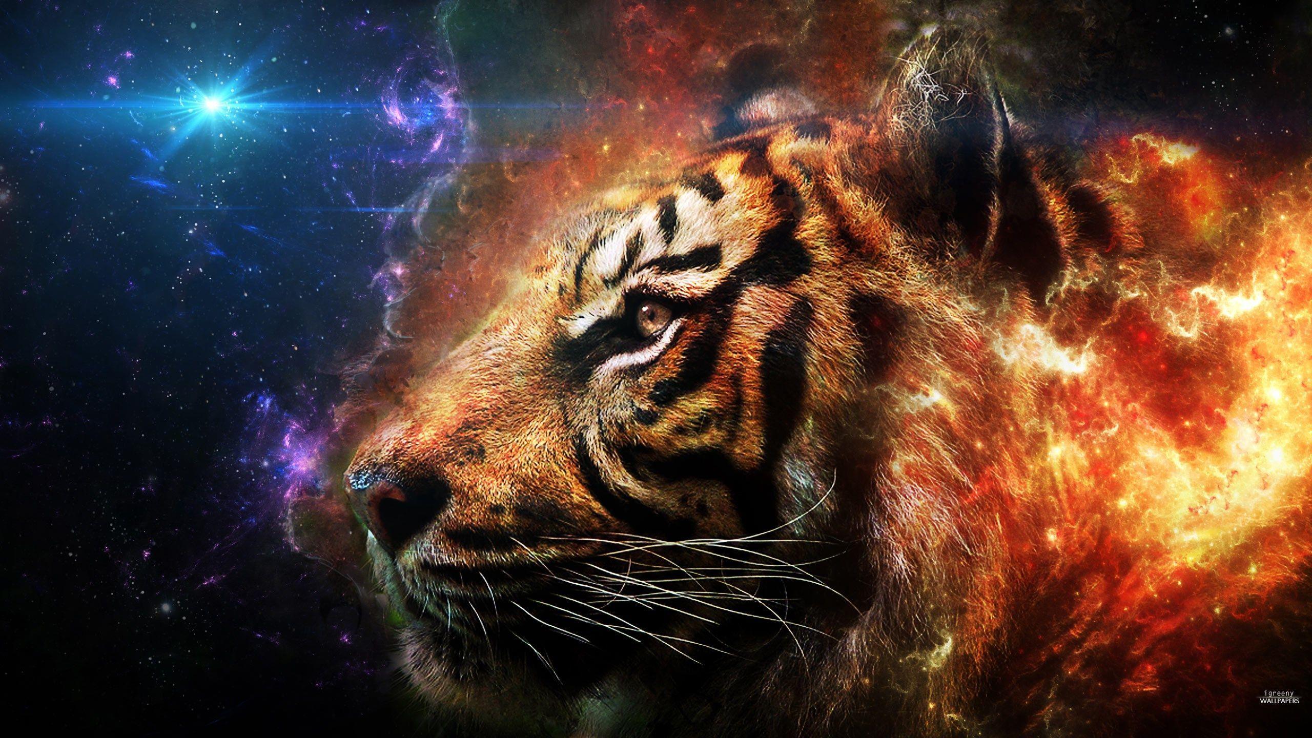 2560x1440 d Animated Tiger Wallpaper d wallpaper HD Wallpaper k