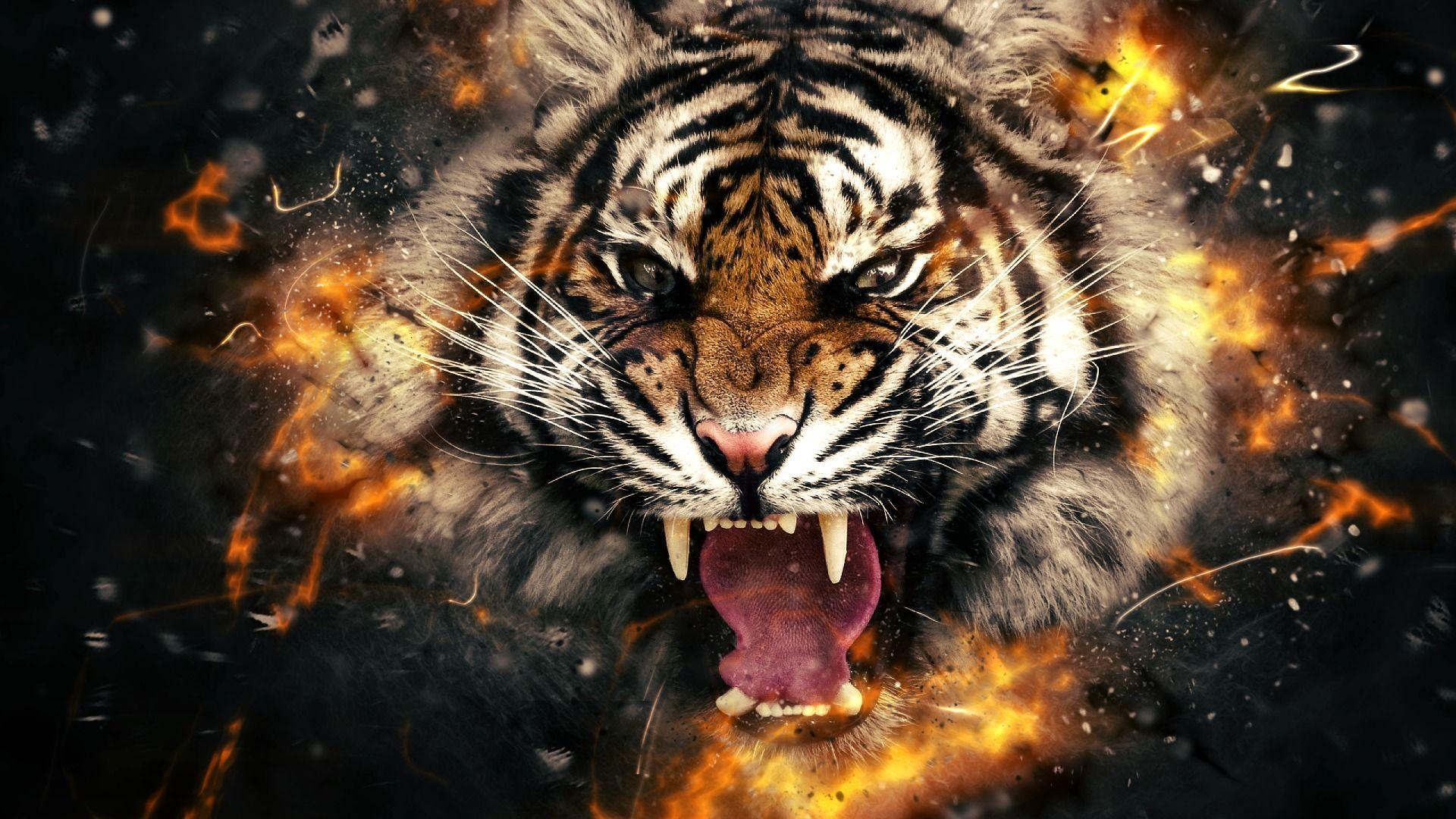 Abstract Tiger Hd Wallpapers Top Free Abstract Tiger Hd Backgrounds Wallpaperaccess