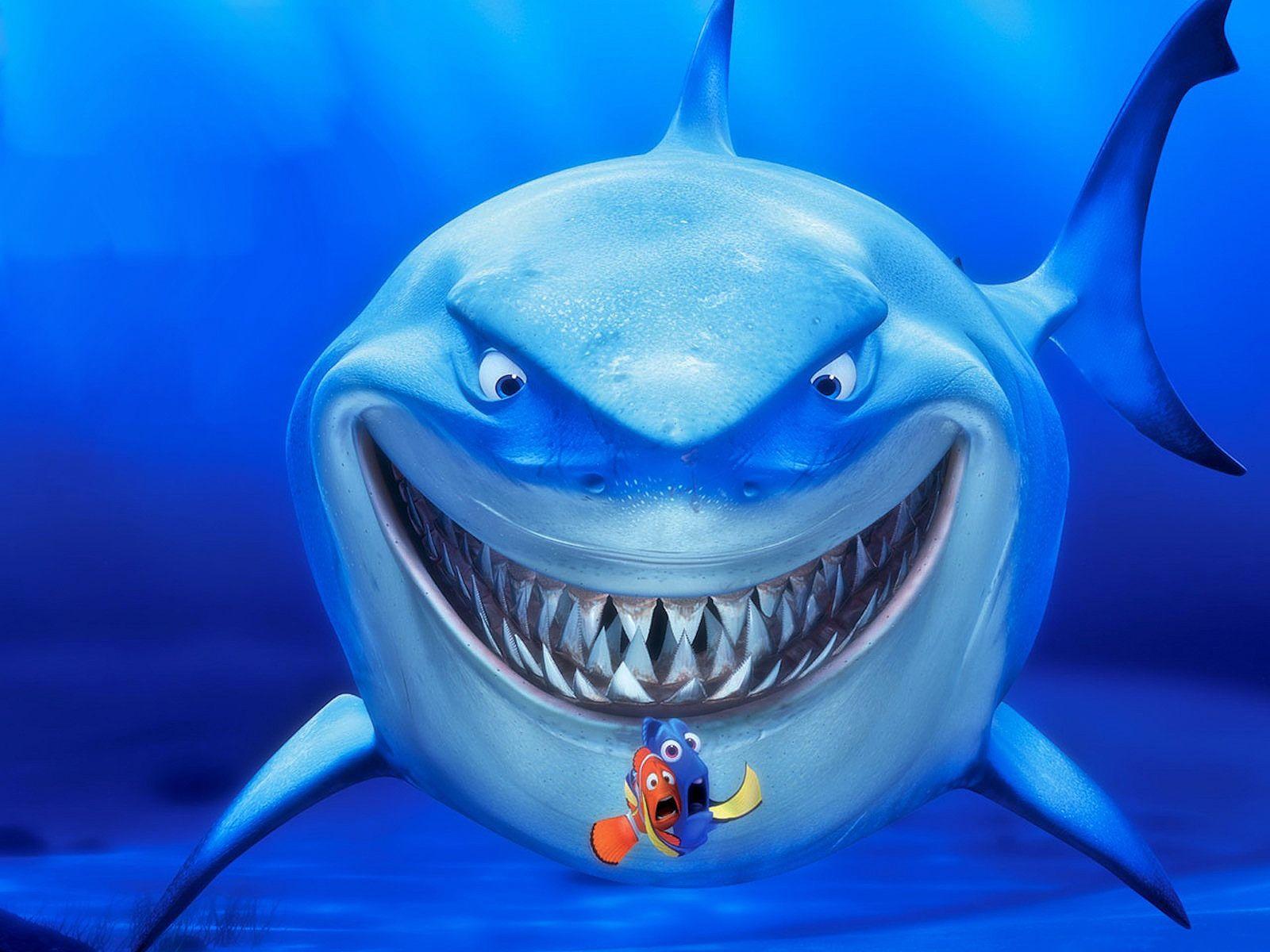 Finding Nemo Shark Wallpapers - Top Những Hình Ảnh Đẹp