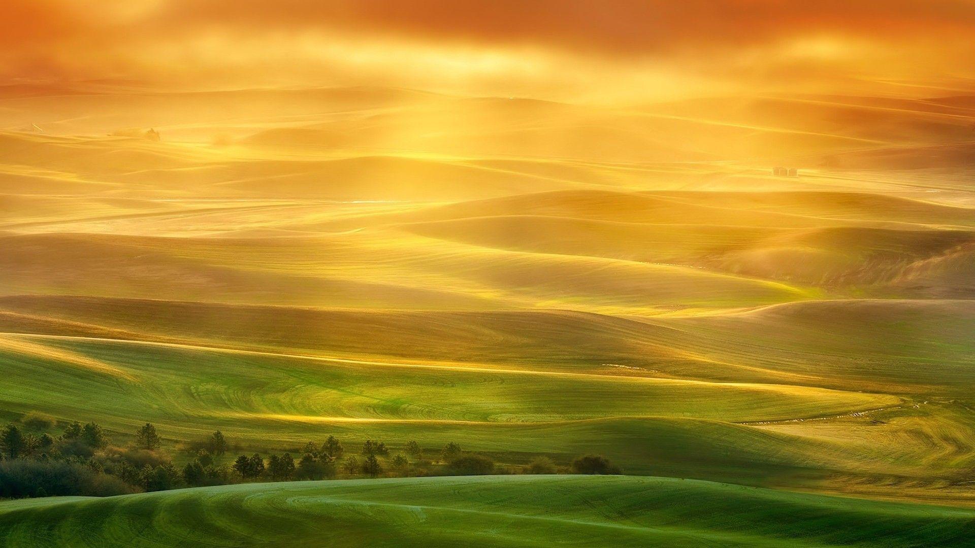 1920x1080 Abstract Fields