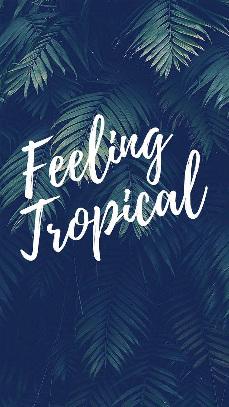 736x1308 Summer Lovin' Quotes iPhone Wallpaper Collection. Preppy