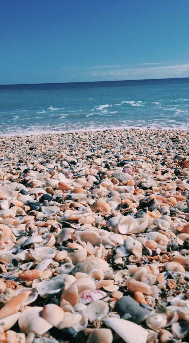 753x1368 Hehe. Summer aesthetic