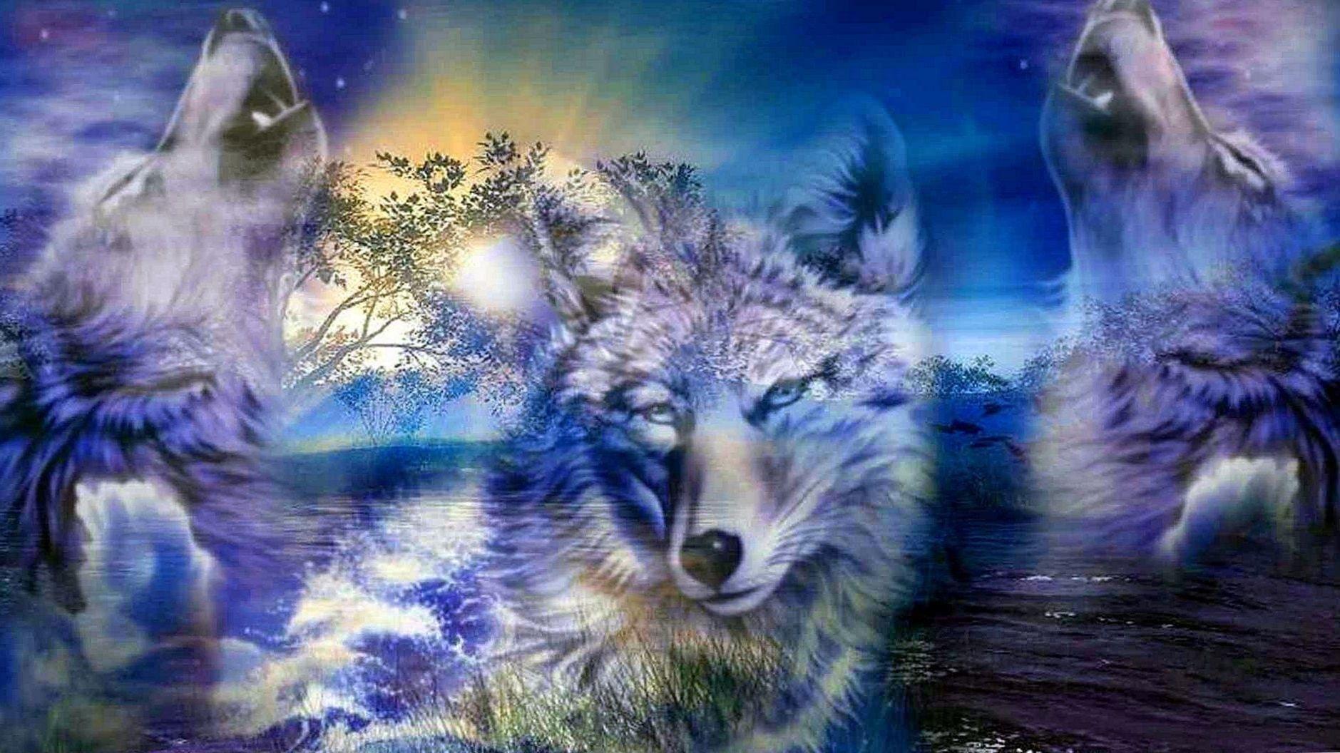 3D HD Wolf Wallpapers - Top Free 3D HD Wolf Backgrounds - WallpaperAccess