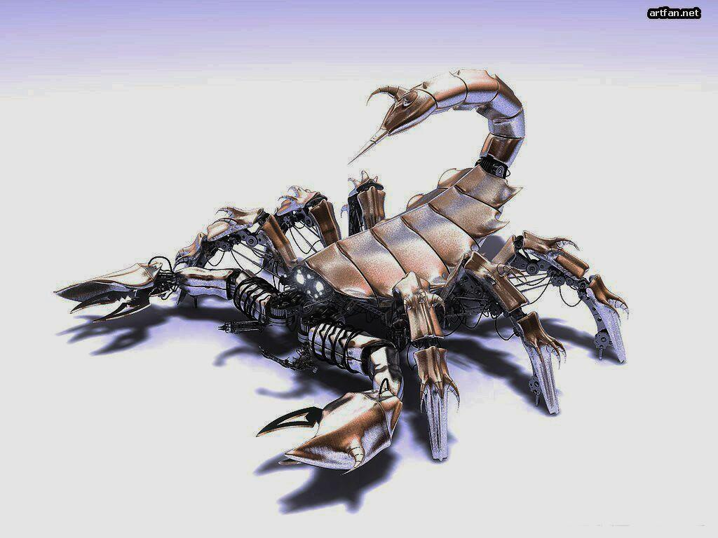 1024x768 3D Animal Wallpaper 21700