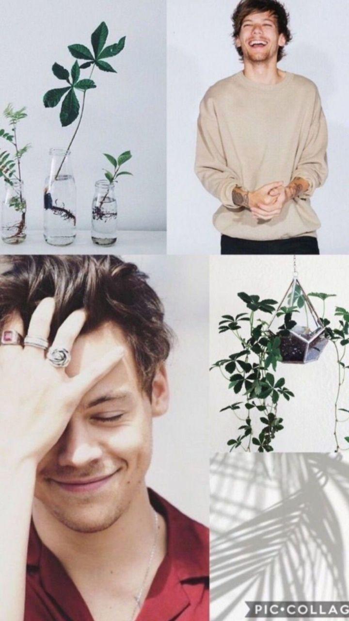 720x1280 Harry Styles Earring Larry Stylinson Wallpaper