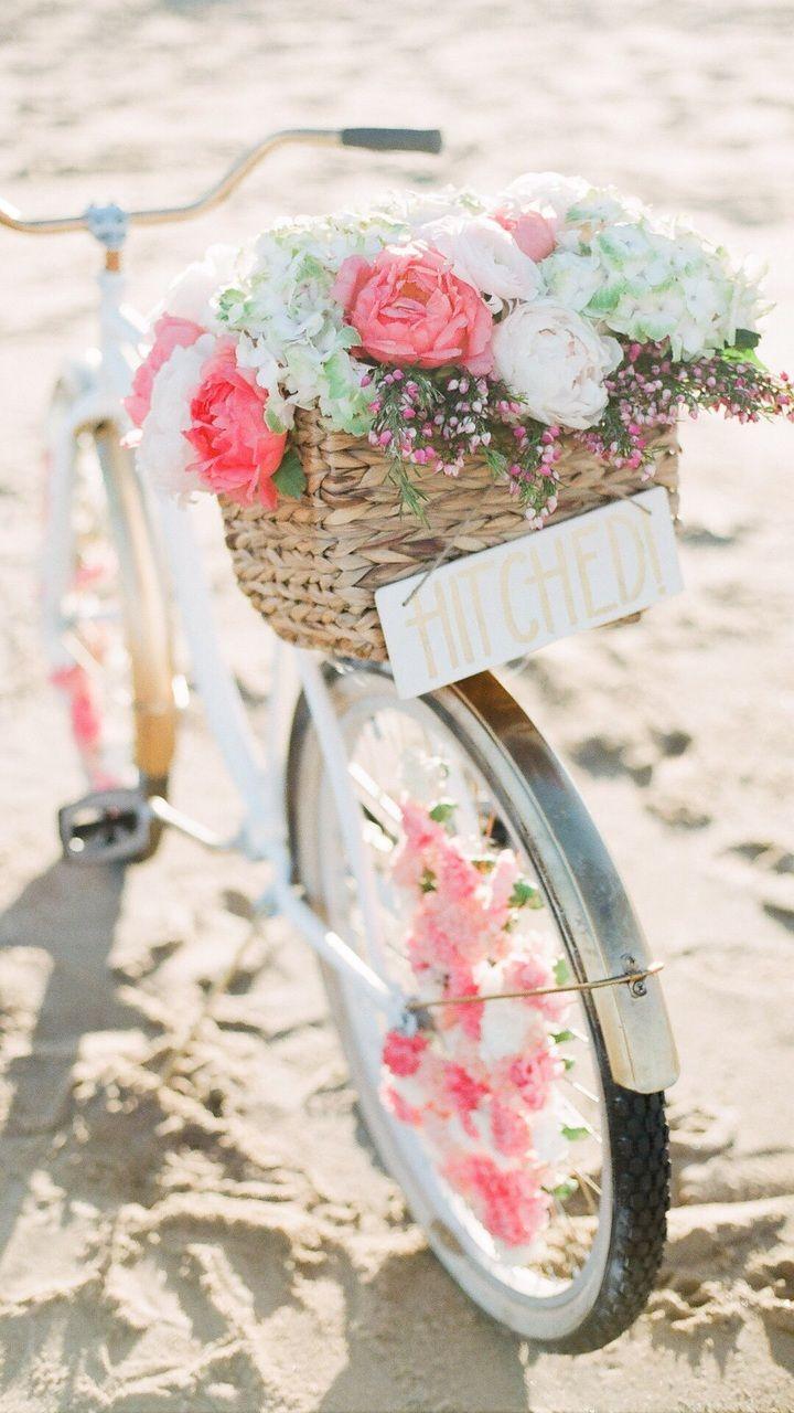 720x1280 beach, bike, california, cute, flower, iphone, love, pink
