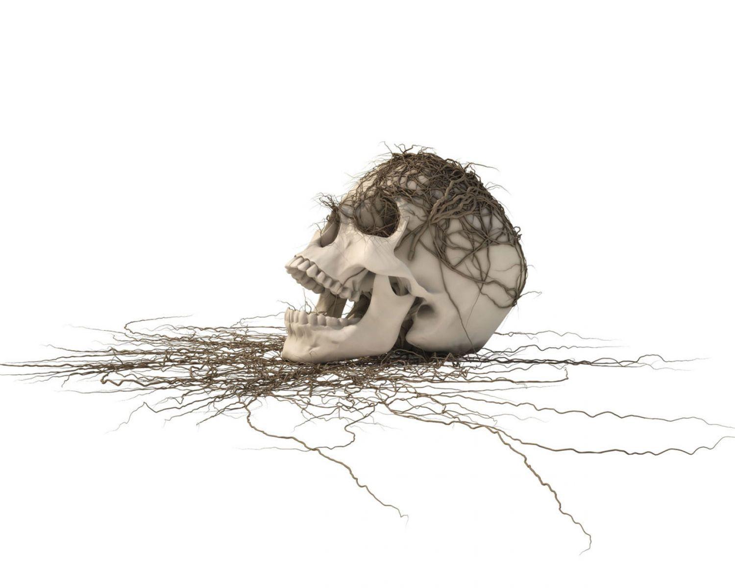 1500x1200 3D White Skull Wallpaper. HD 3D and Abstract Wallpaper