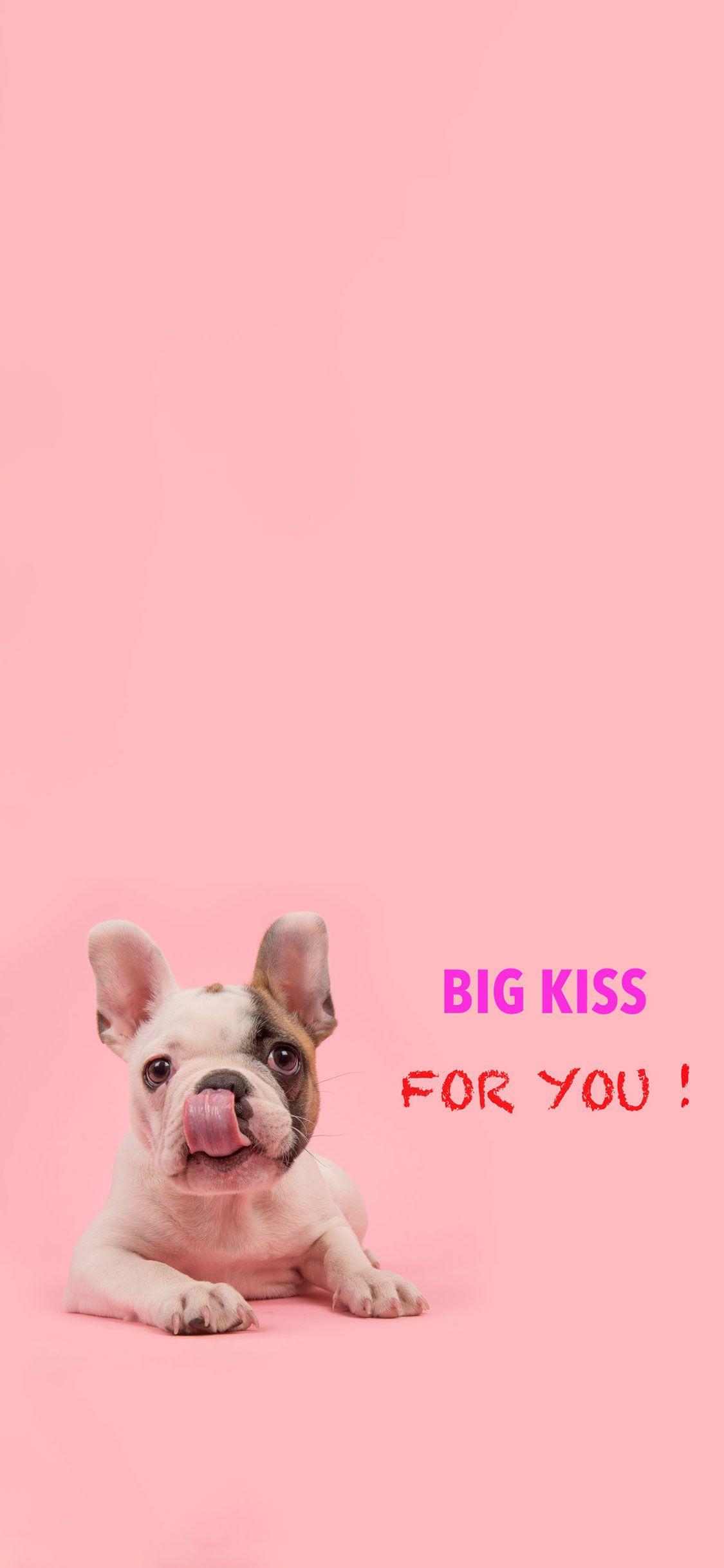 1125x2436 HD Girly IPhone Wallpaper For IPhone 6 6S 7 8 X XS XR