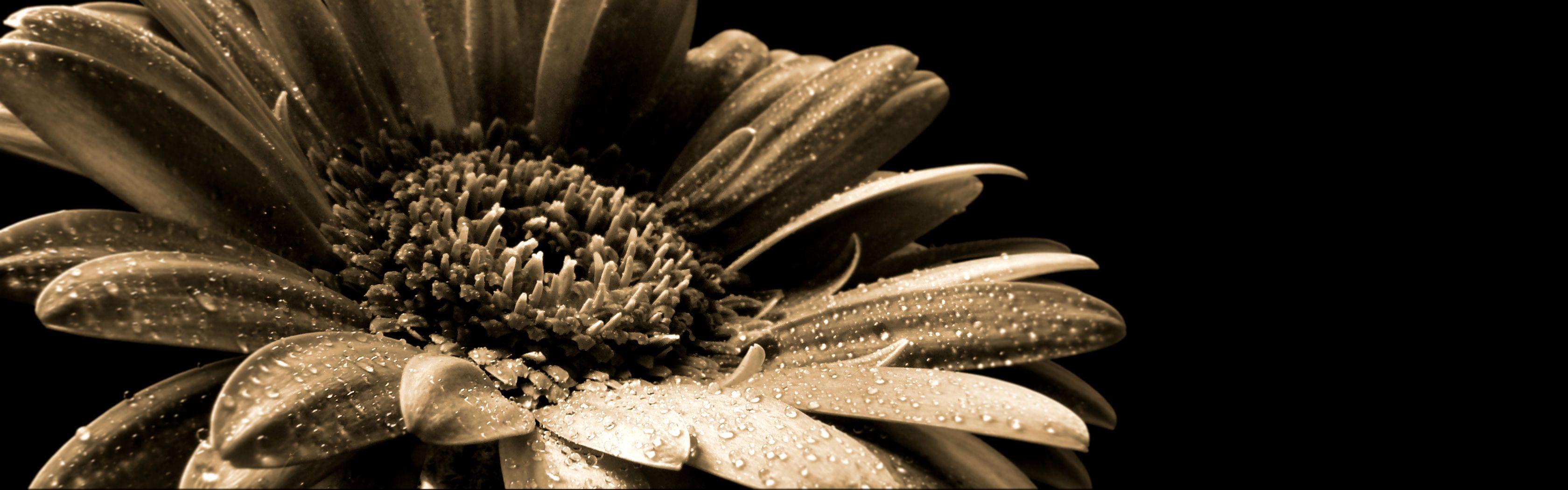 3360x1050 Monochrome Flower Wallpaperx1050