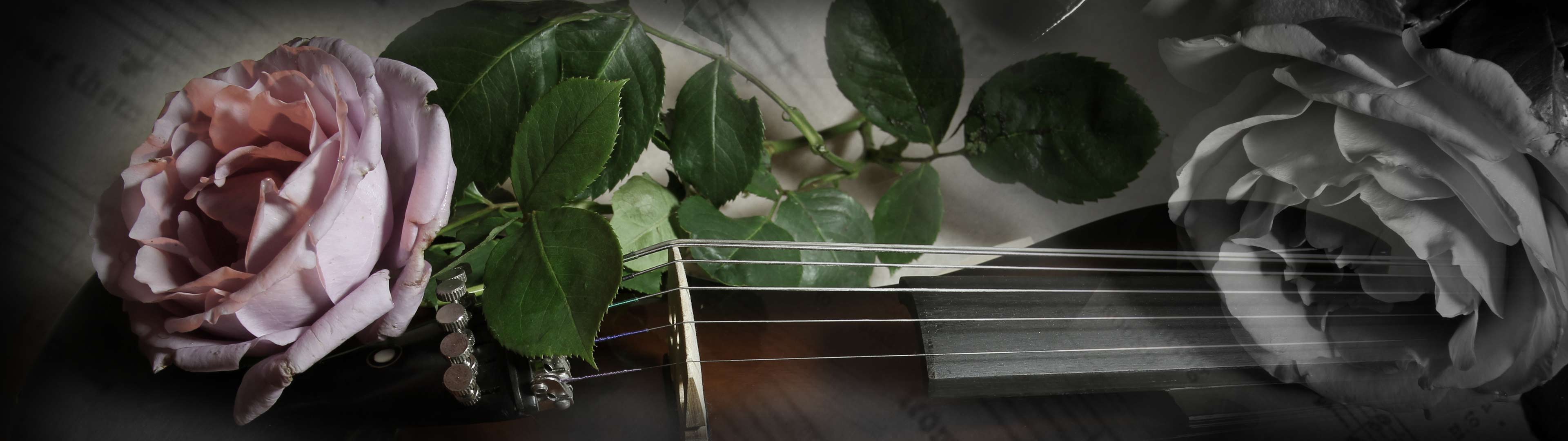 3840x1080 Dual monitor guitar wallpaper, from GCH Guitar Academy