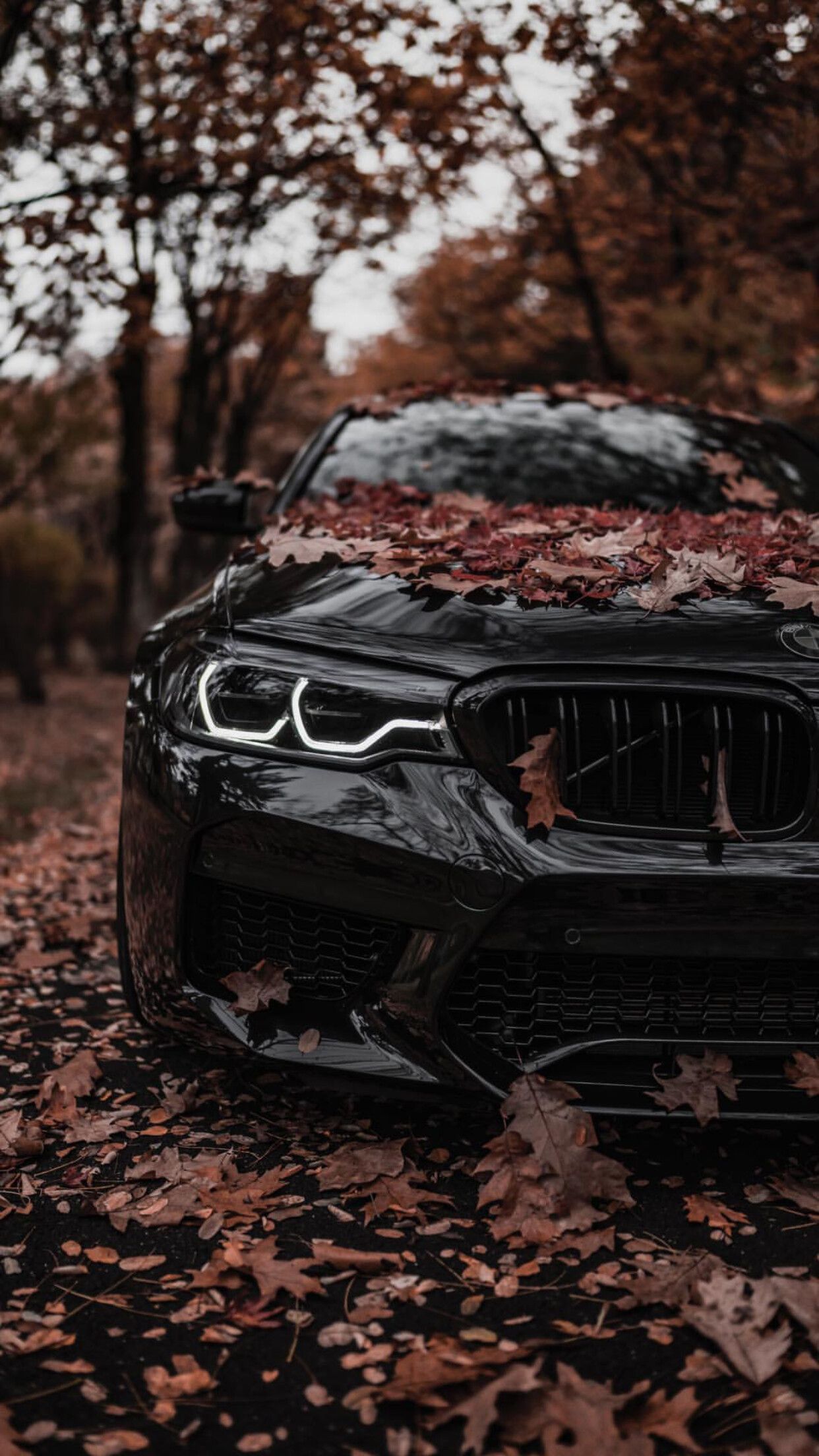 1242x2208 BMW Wallpaper