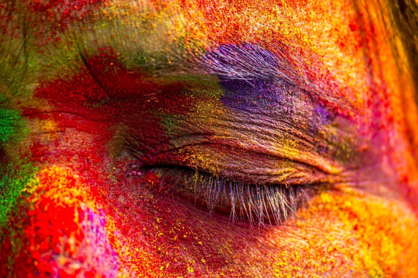 1440x960 Holi. The festival of colors