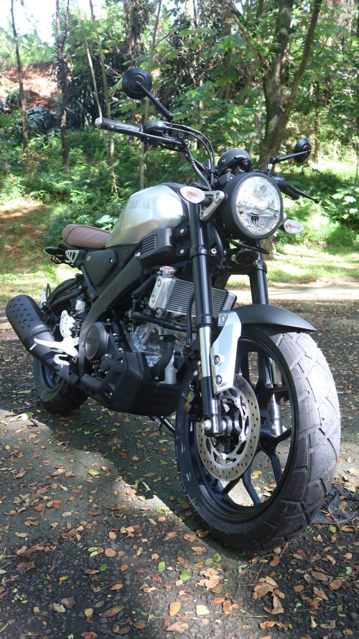 736x1308 Yamaha XSR 155