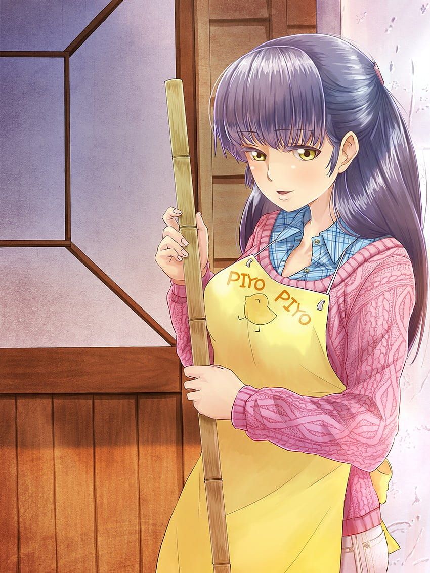 850x1133 Otonashi kyouko, maison ikkoku HD phone