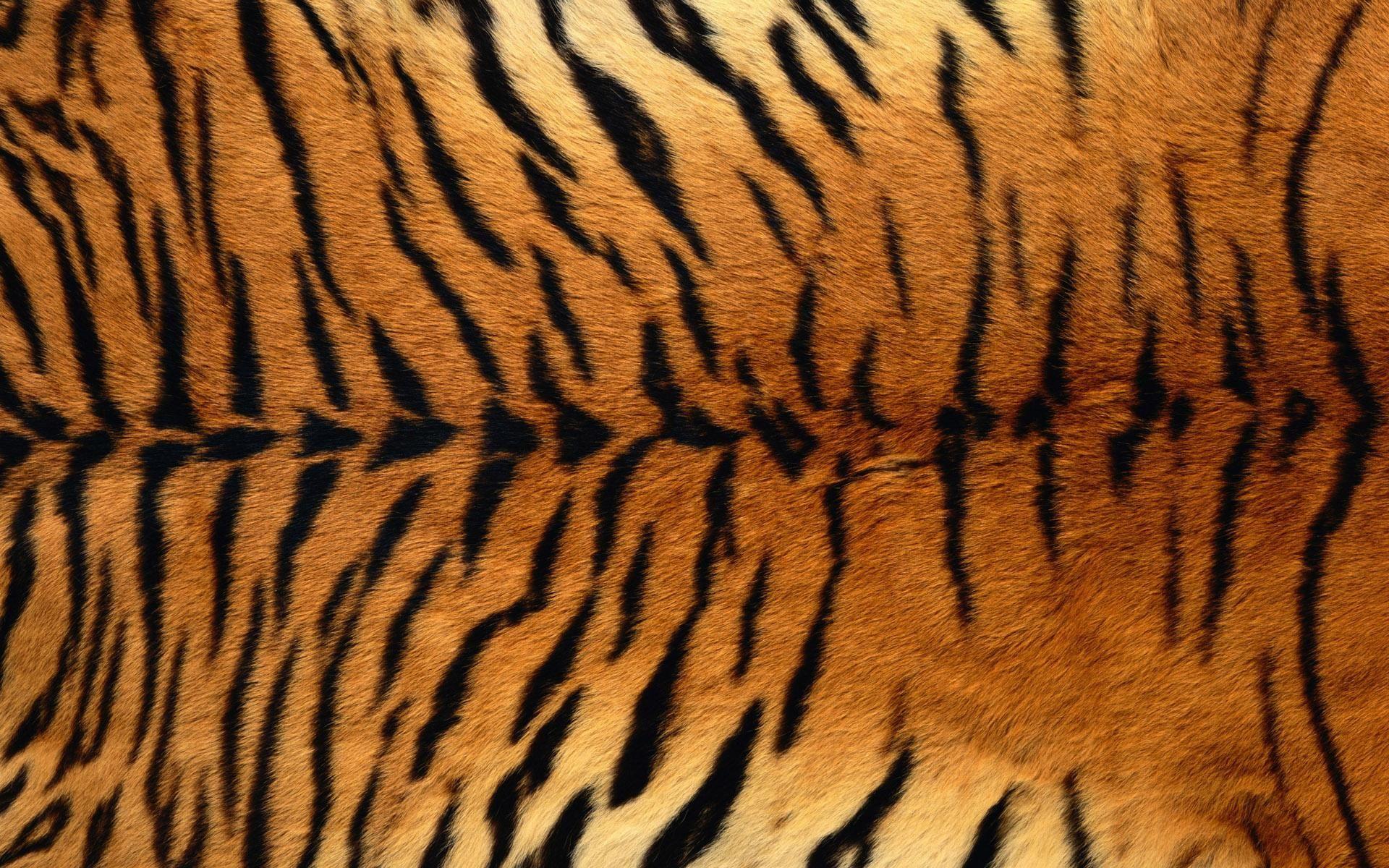 Discover 89+ tiger print wallpaper - in.cdgdbentre