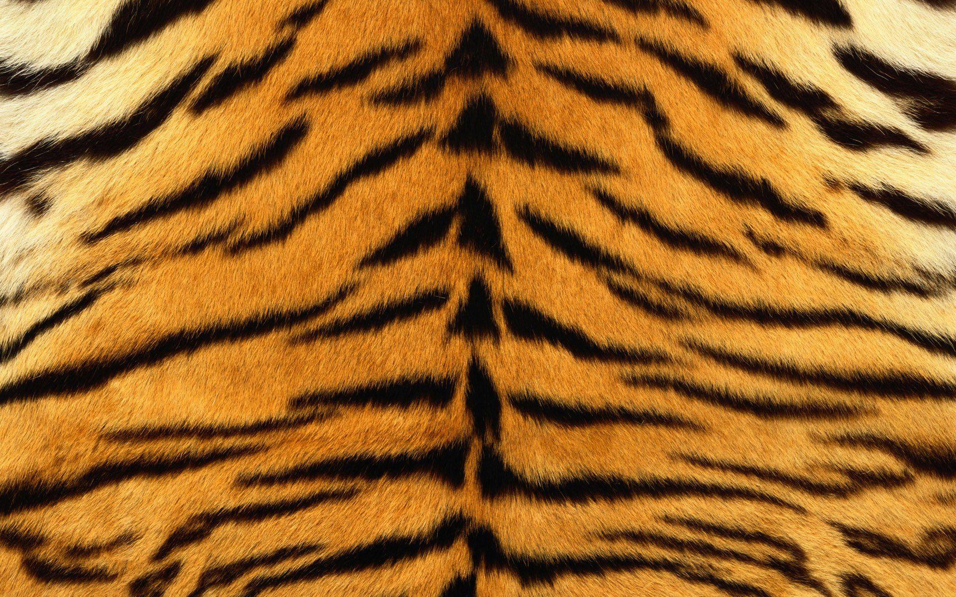 3D Tiger PVC Wallpaper