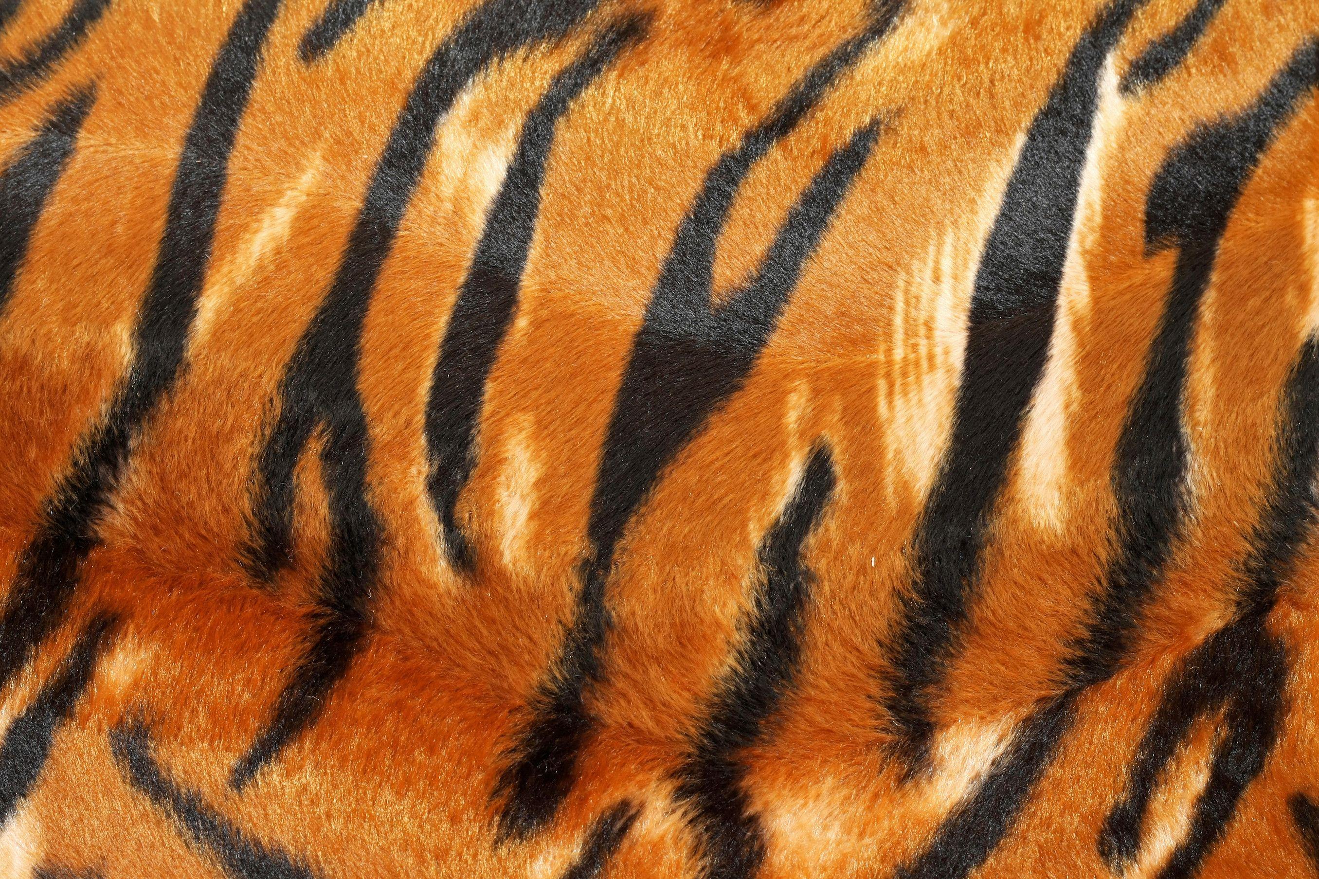 Discover 89+ tiger print wallpaper - in.cdgdbentre