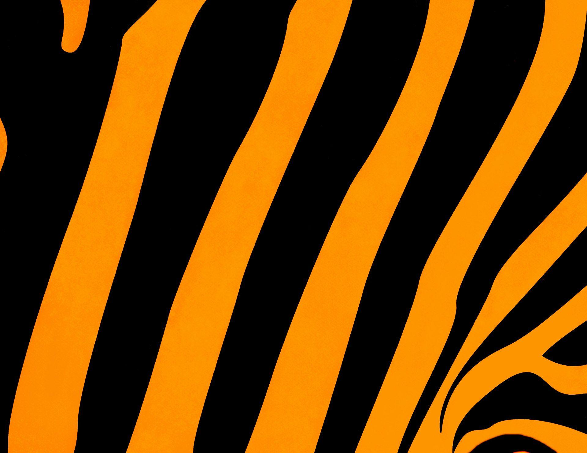 Tiger Print Wallpapers - ntbeamng