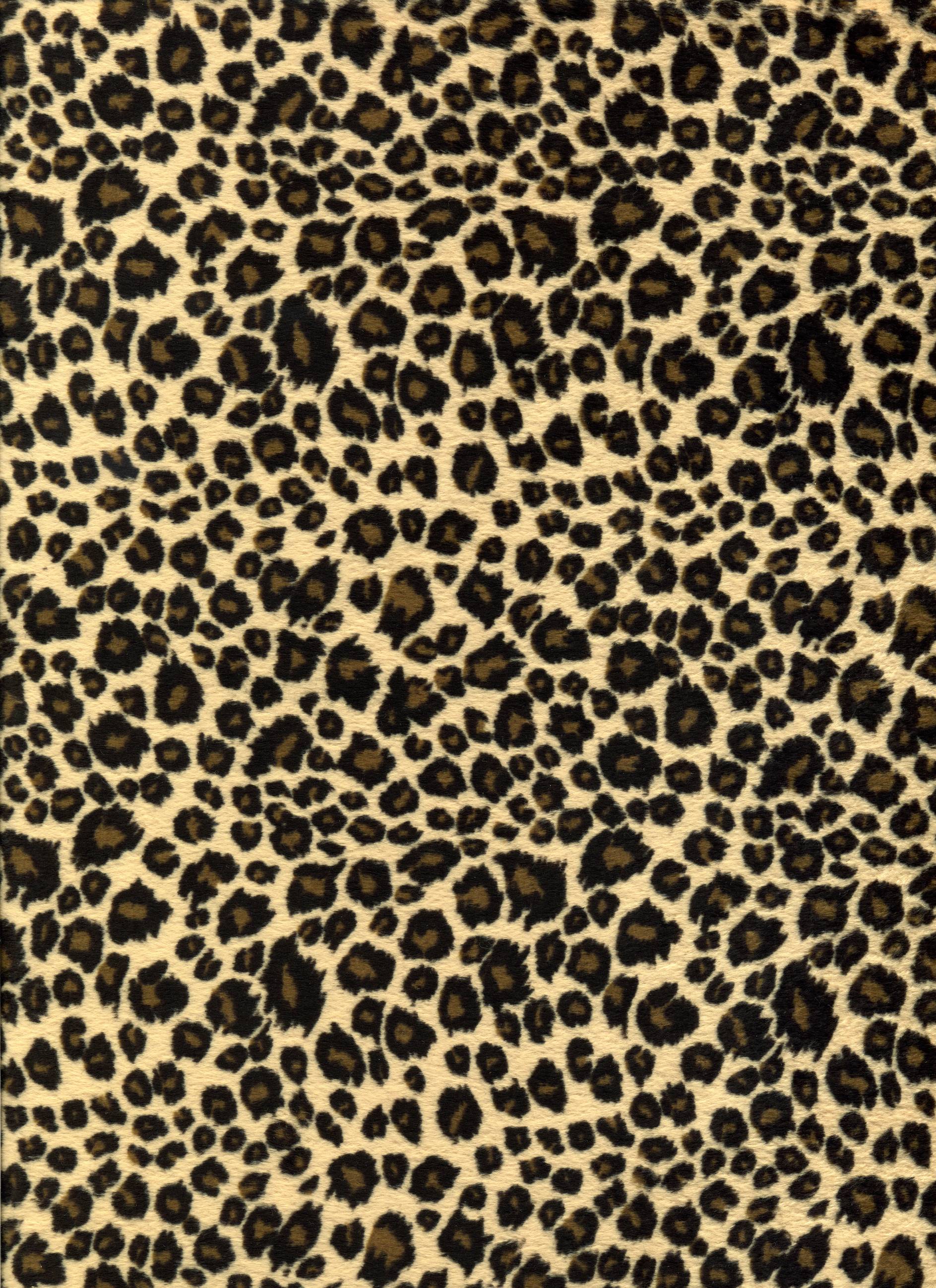 Leopard Print Wallpapers Top Free Leopard Print Backgrounds Wallpaperaccess 