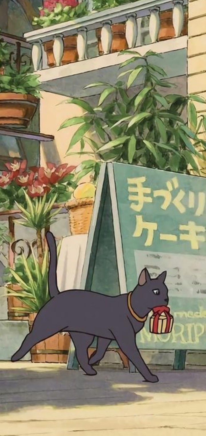 720x1520 Phone wallpaper Ghibli wallpaper The cat returns