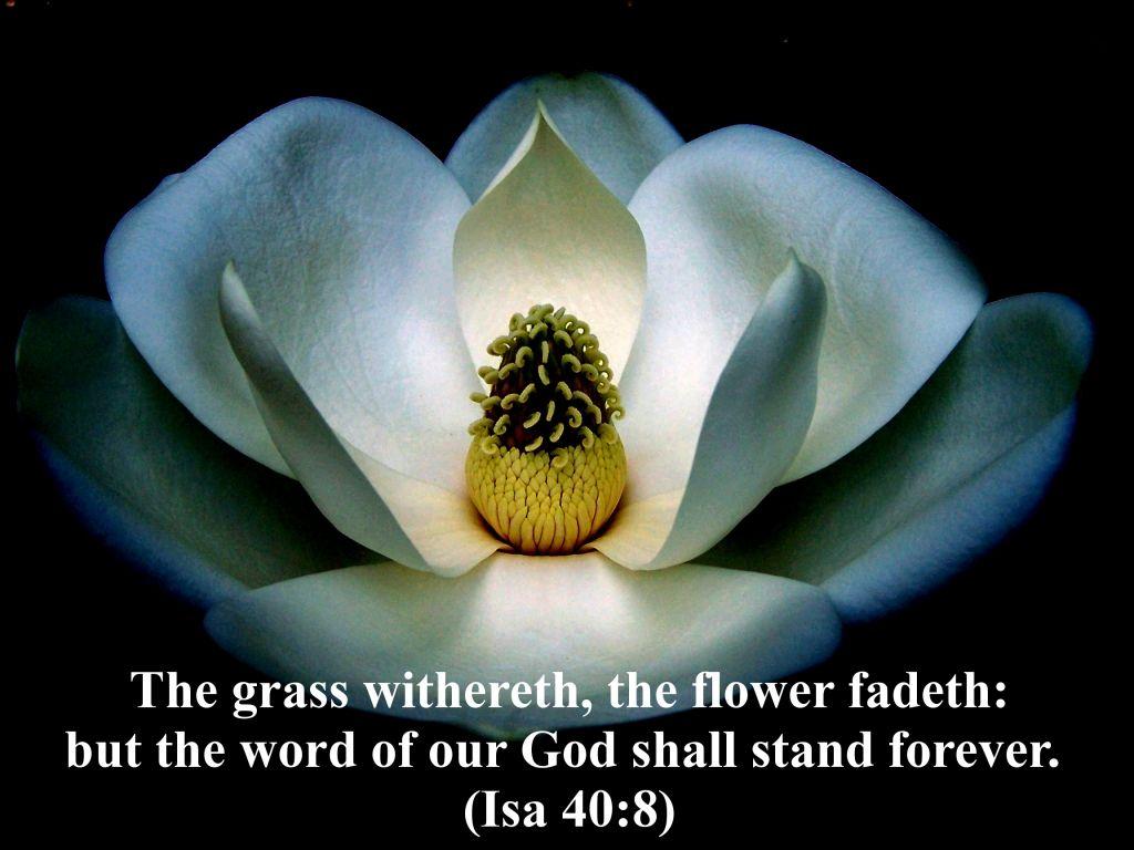 1024x768 Free Christian Wallpaper Desktop Background