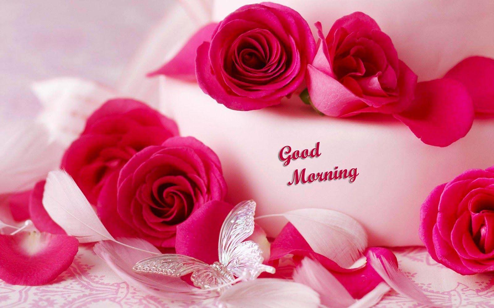 Hình nền Chào buổi sáng lãng mạn 1600x1000 https://wallpaperaccess.com/full/1841146.jpg