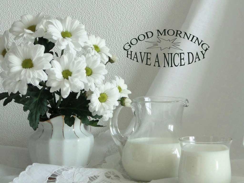 1024x768 Good Morning Wallpaper Picture