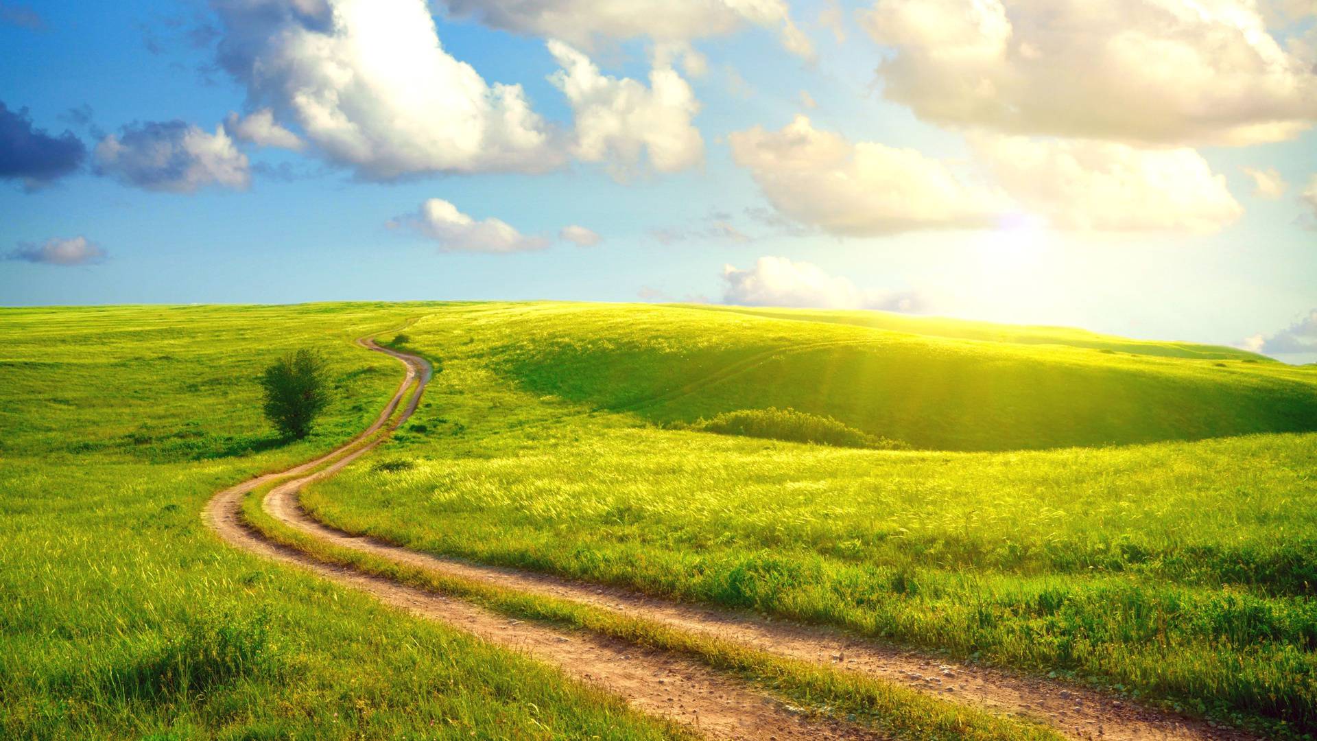 1920x1080 Summer Morning Wallpaper