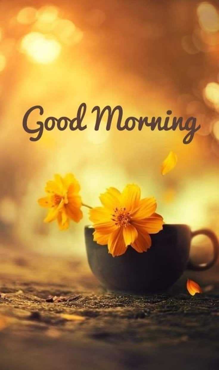 735x1240 Good Morning Quotes And Image Positive Words for Good