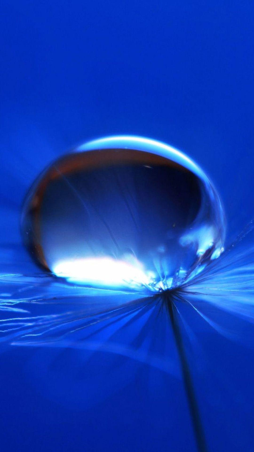 1080x1920 Macro Pure Dandelion Water Drop iPhone 8 Wallpaper Free