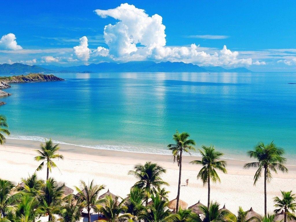 1024x768 Beach Wallpaper. Sea, Beach, Palm