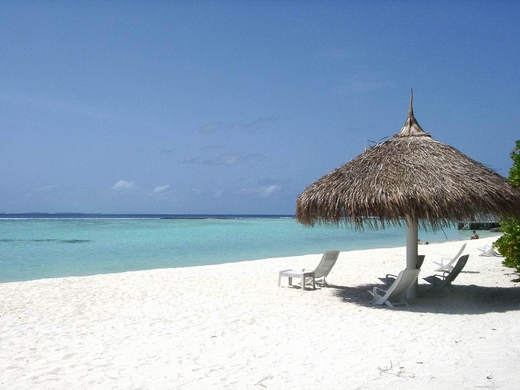 1024x768 Jamaica Beach Wallpaper 181 « Celeb Wallpaper. Wallpaper