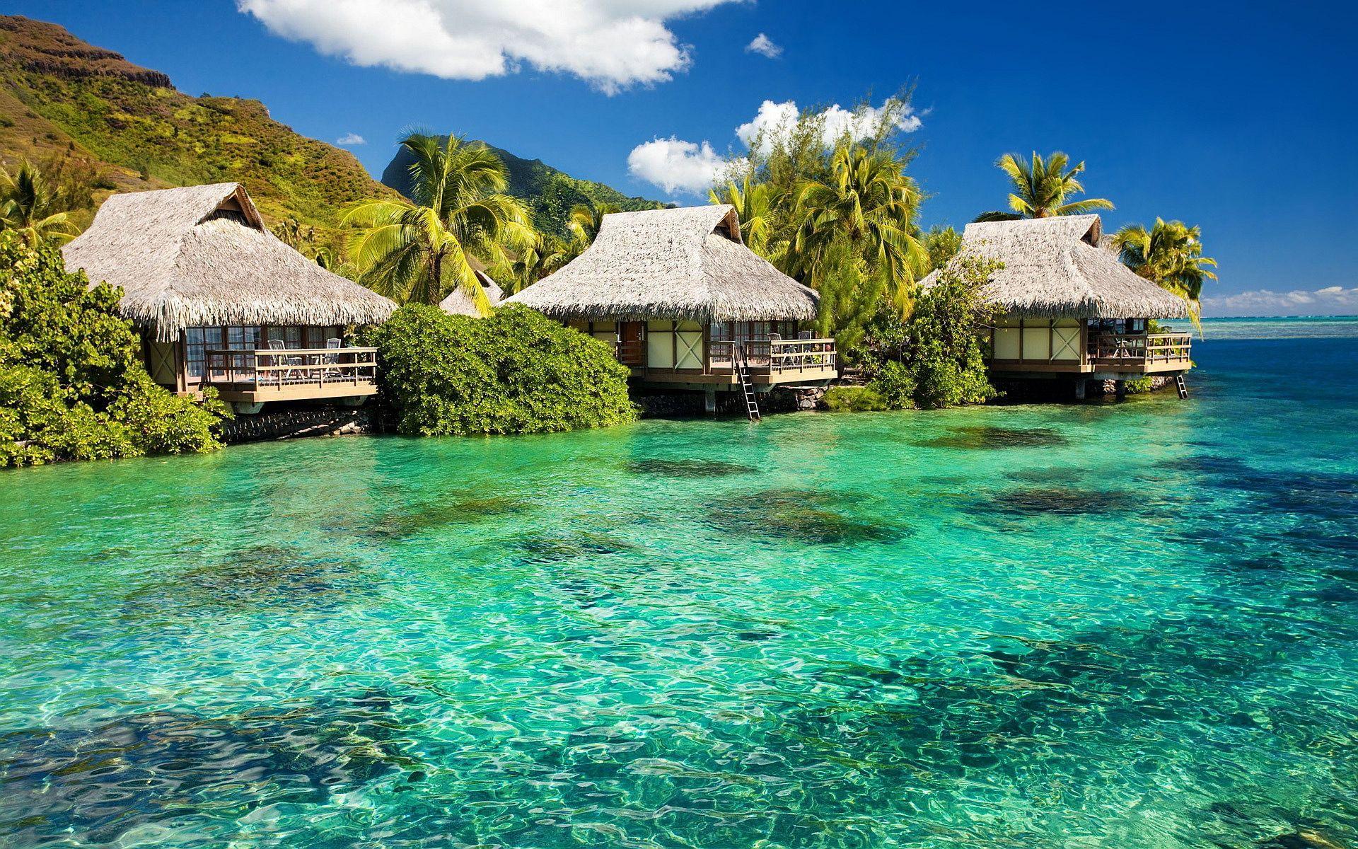 1920x1200 Jamaica wallpaperx768 Jamaica wallpaper