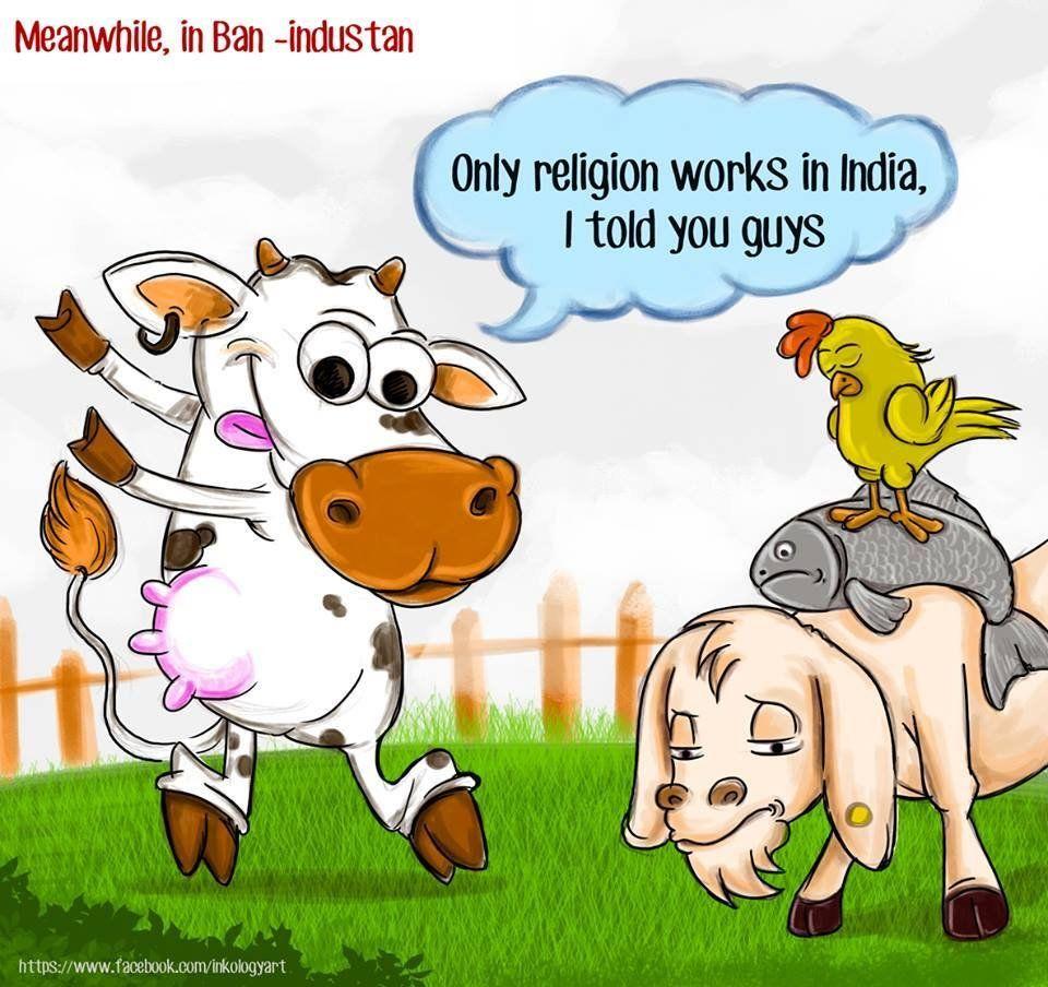 960x904 Beef Clipart Indian Cow Ban In India Cartoon Free