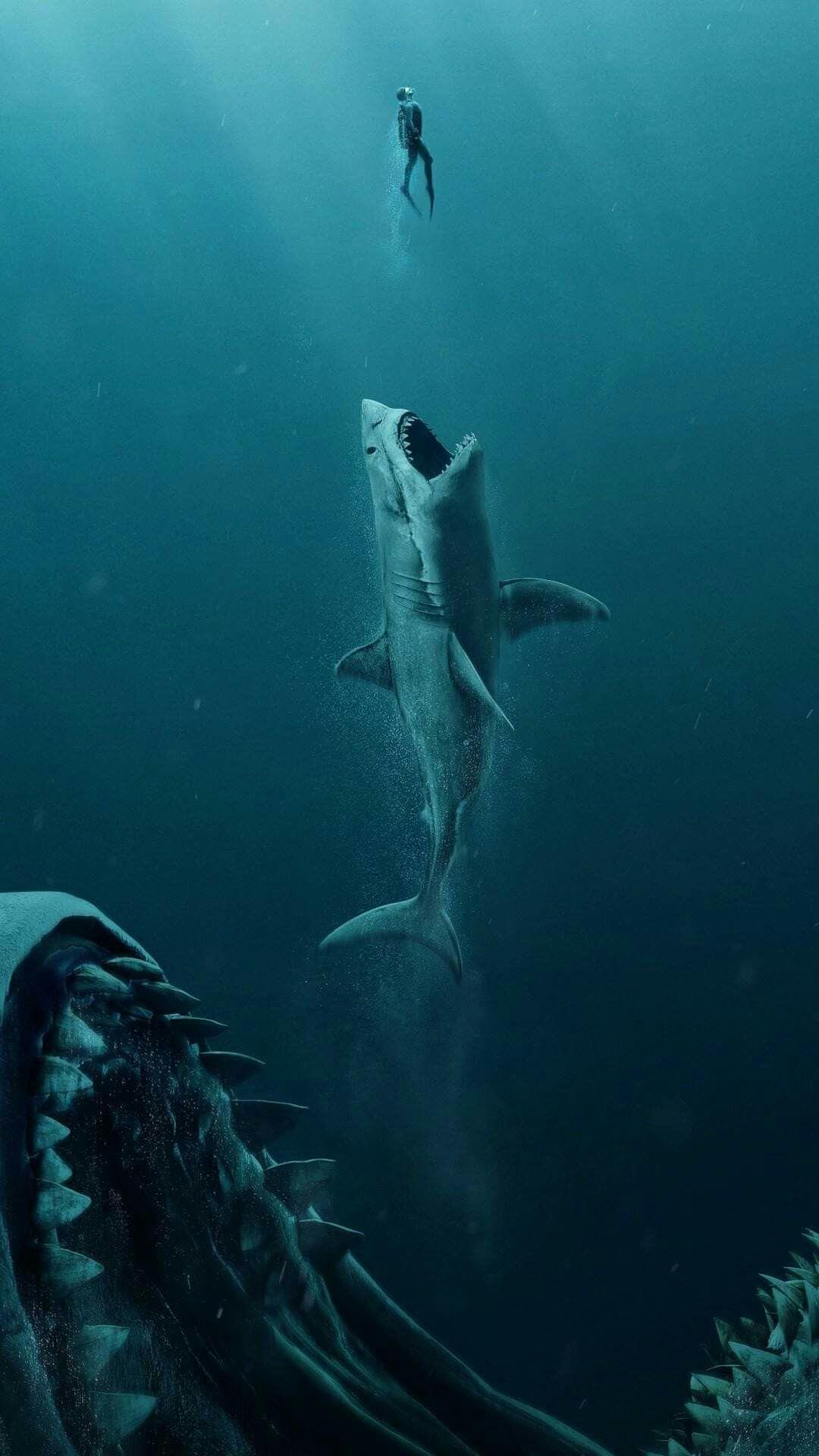 1080x1920 ОБОИ ДЛЯ ТЕЛЕФОНА. Sea