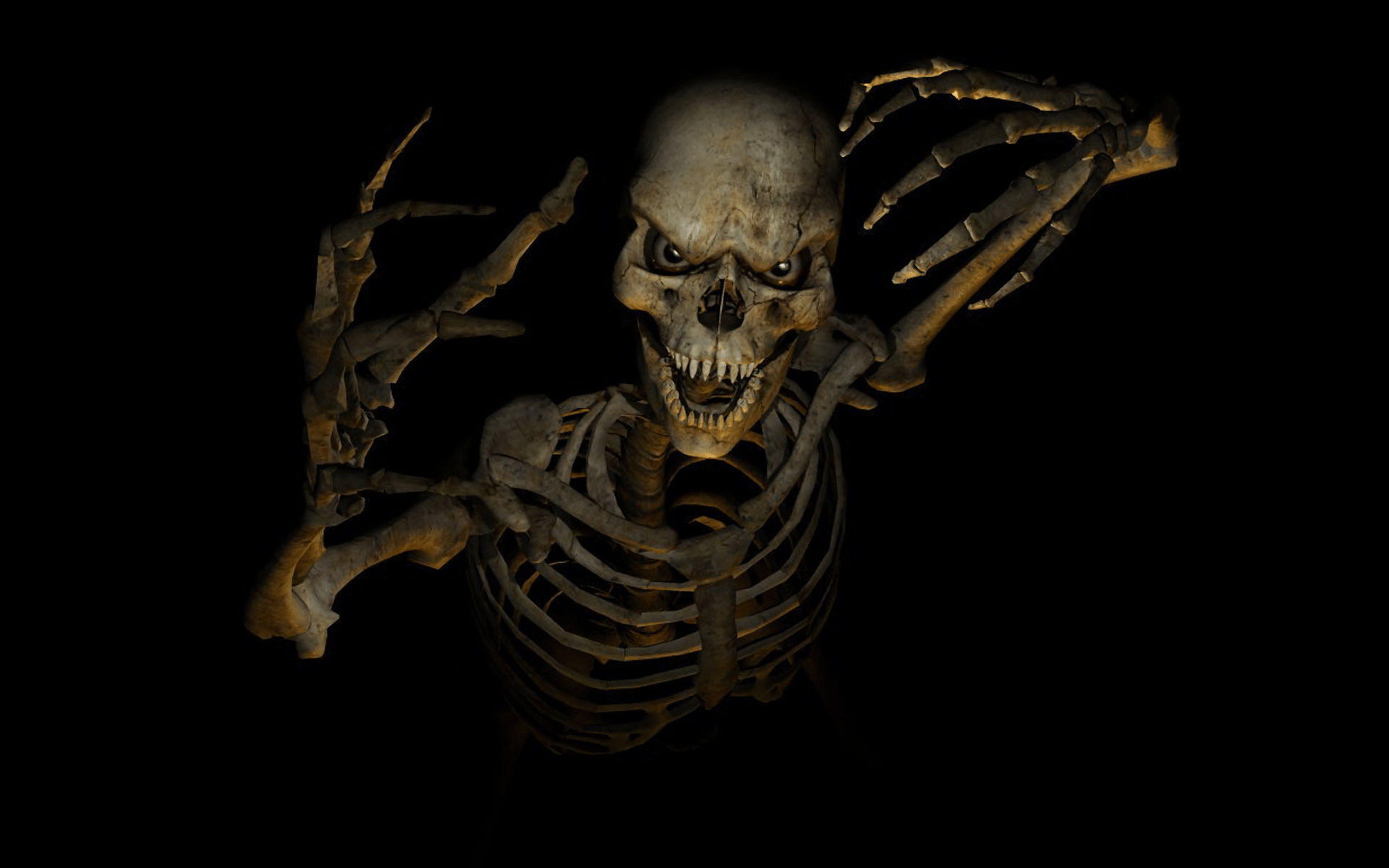 Spooky Scary Skeletons GIFs  Tenor