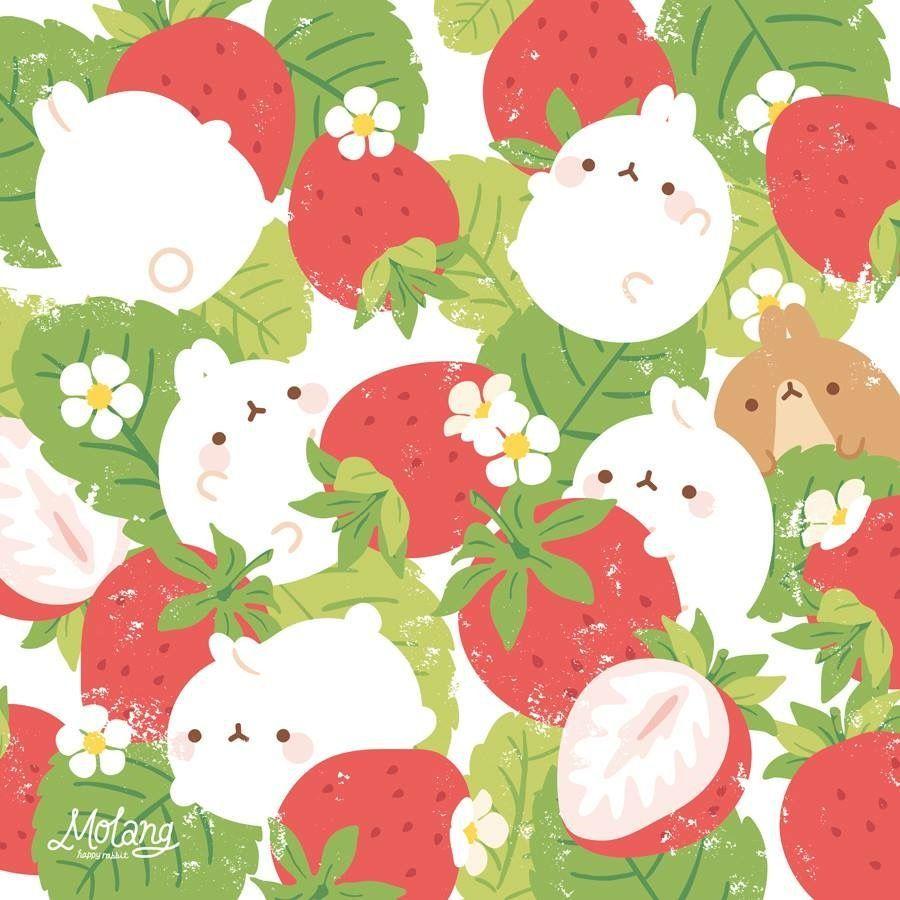 900x900 Molang with strawberries. Molang, Cute drawings, Kawaii