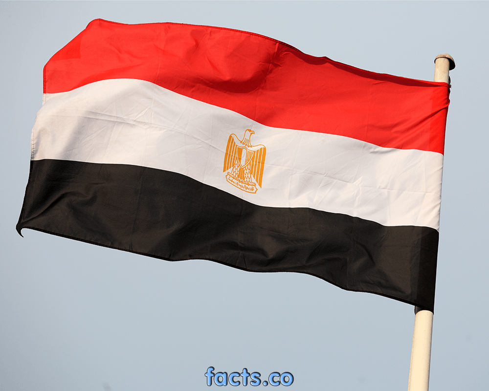 1000x800 Egyptian Flag Wallpaper