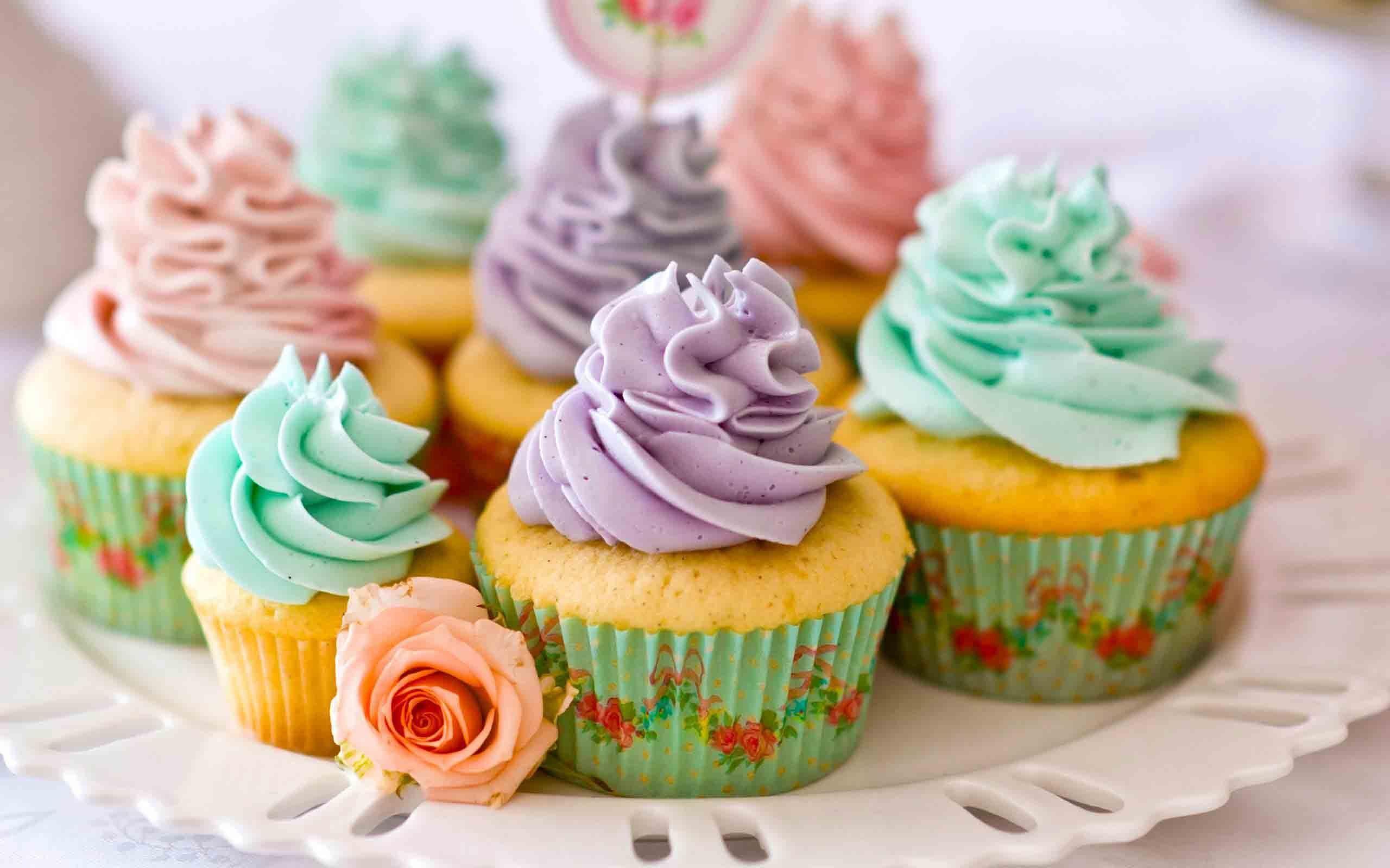 2560x1600 CANDY sweets sugar dessert sweet food wallpaperx1600