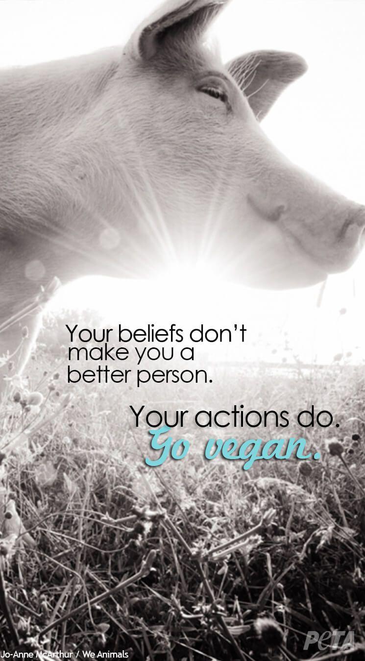 745x1349 Get Your Free Animal Rights iPhone Wallpaper