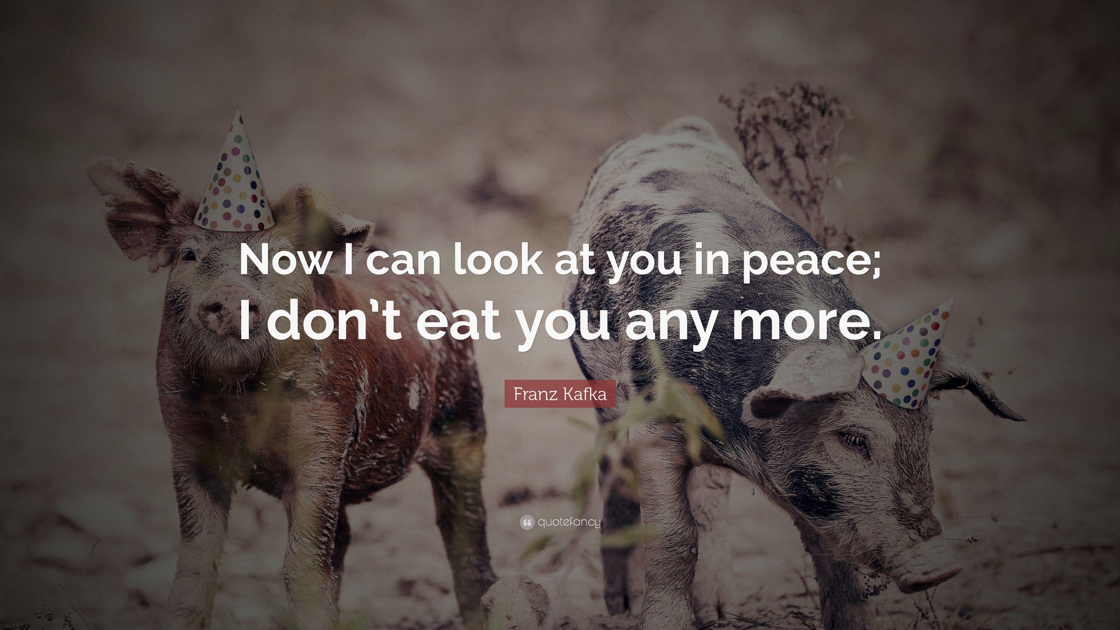 3840x2160 Vegan Wallpaper