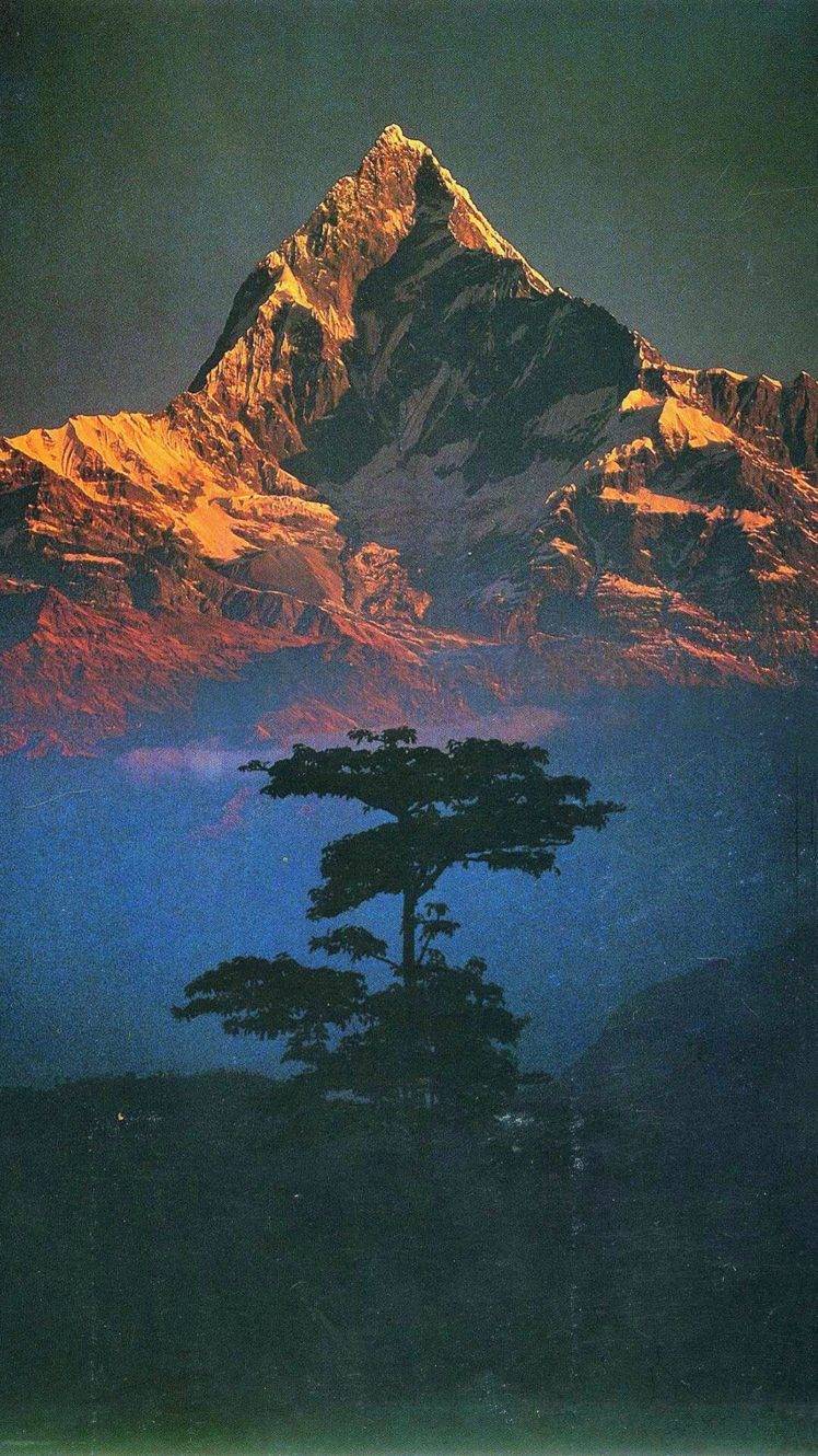 748x1330 nature, Landscape, Mountains, Trees, Portrait display