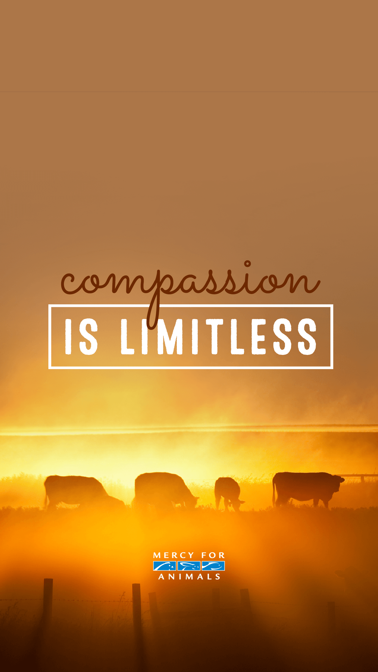 1242x2208 These 10 Free Vegan iPhone Wallpaper Will Inspire You