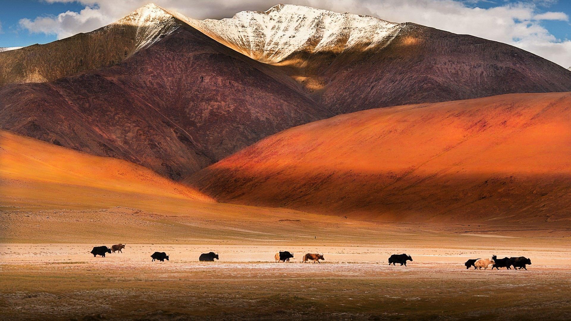 1920x1080 best Ladakh image on Pholder. India, Earth Porn