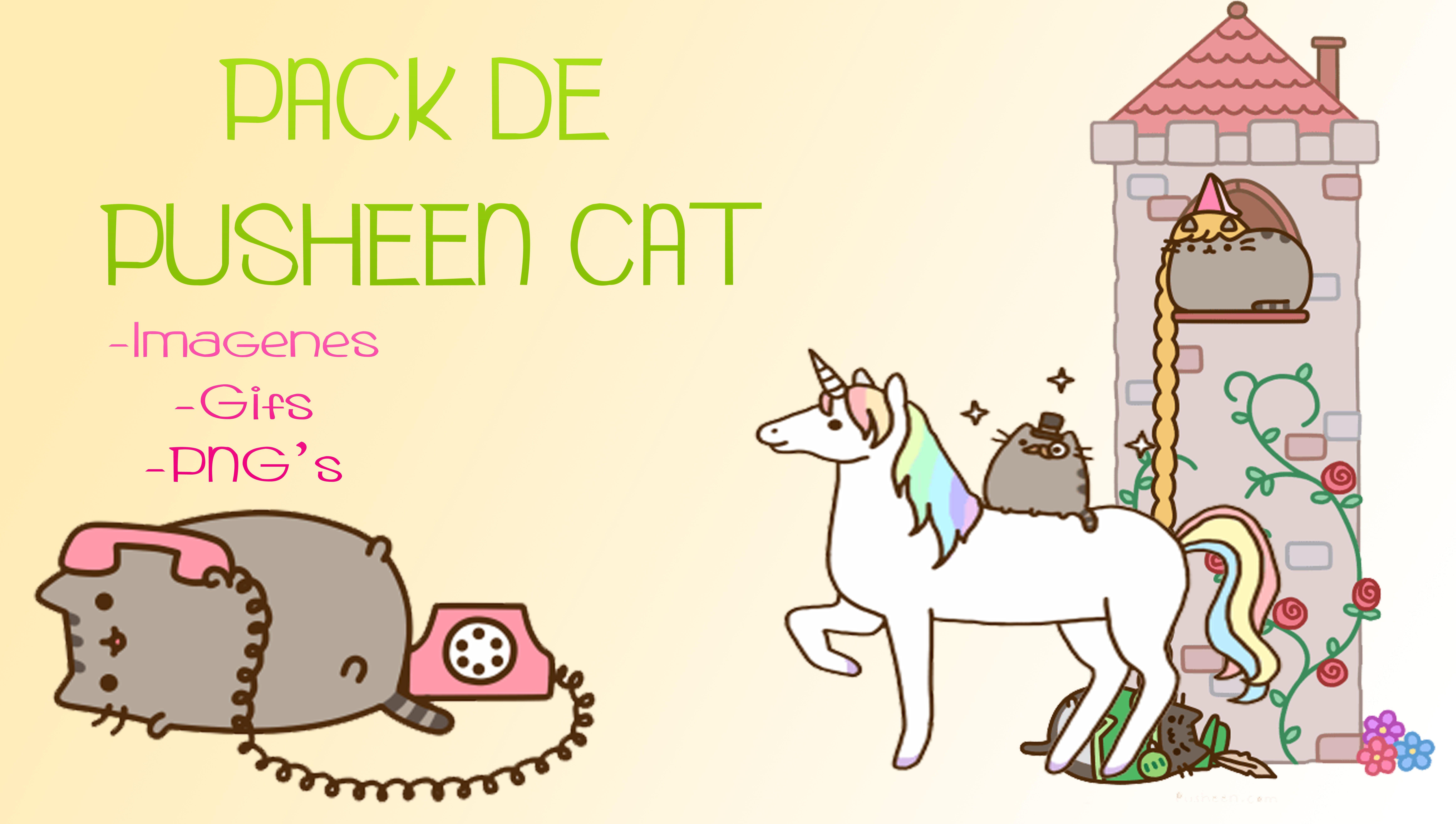 9282x5256 Pusheen Cat Wallpaper