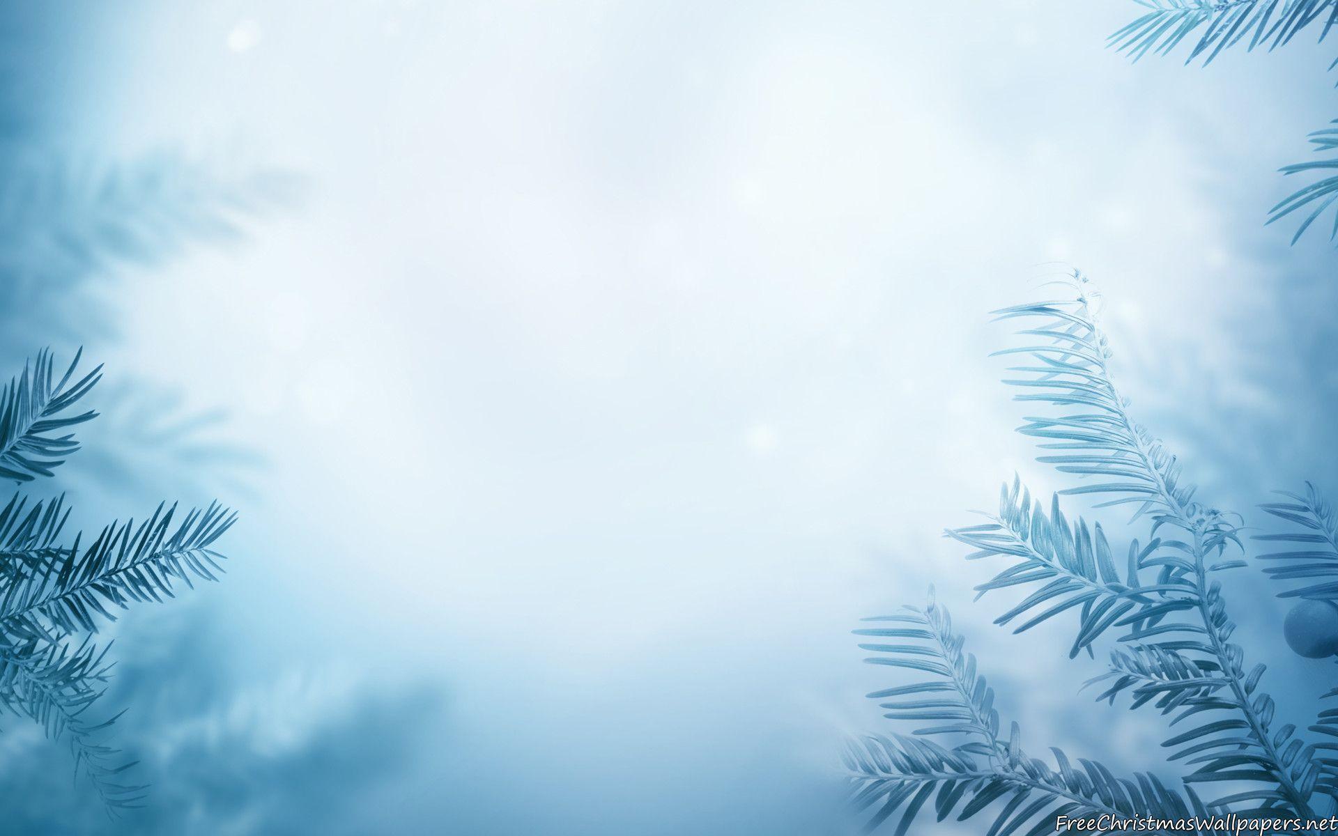 1920x1200 Winter Image Background
