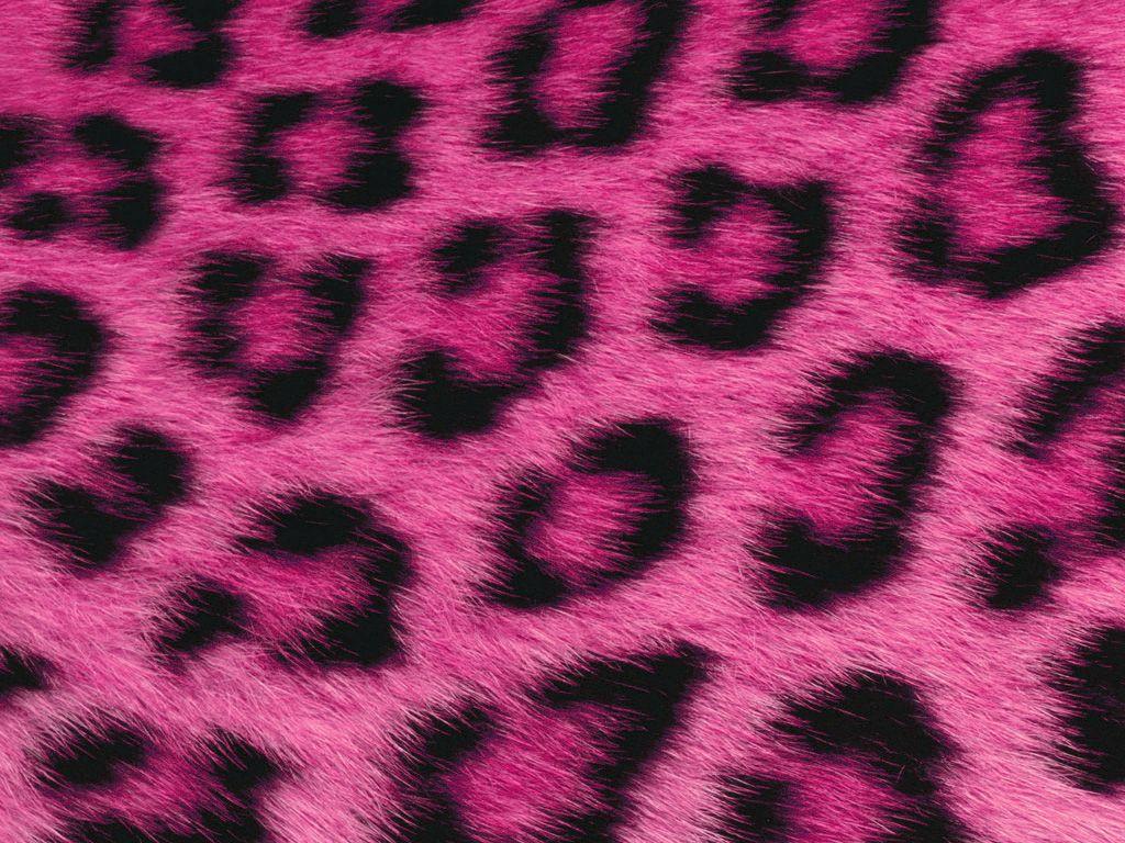 Pink Fur Wallpapers - Top Free Pink Fur Backgrounds - WallpaperAccess