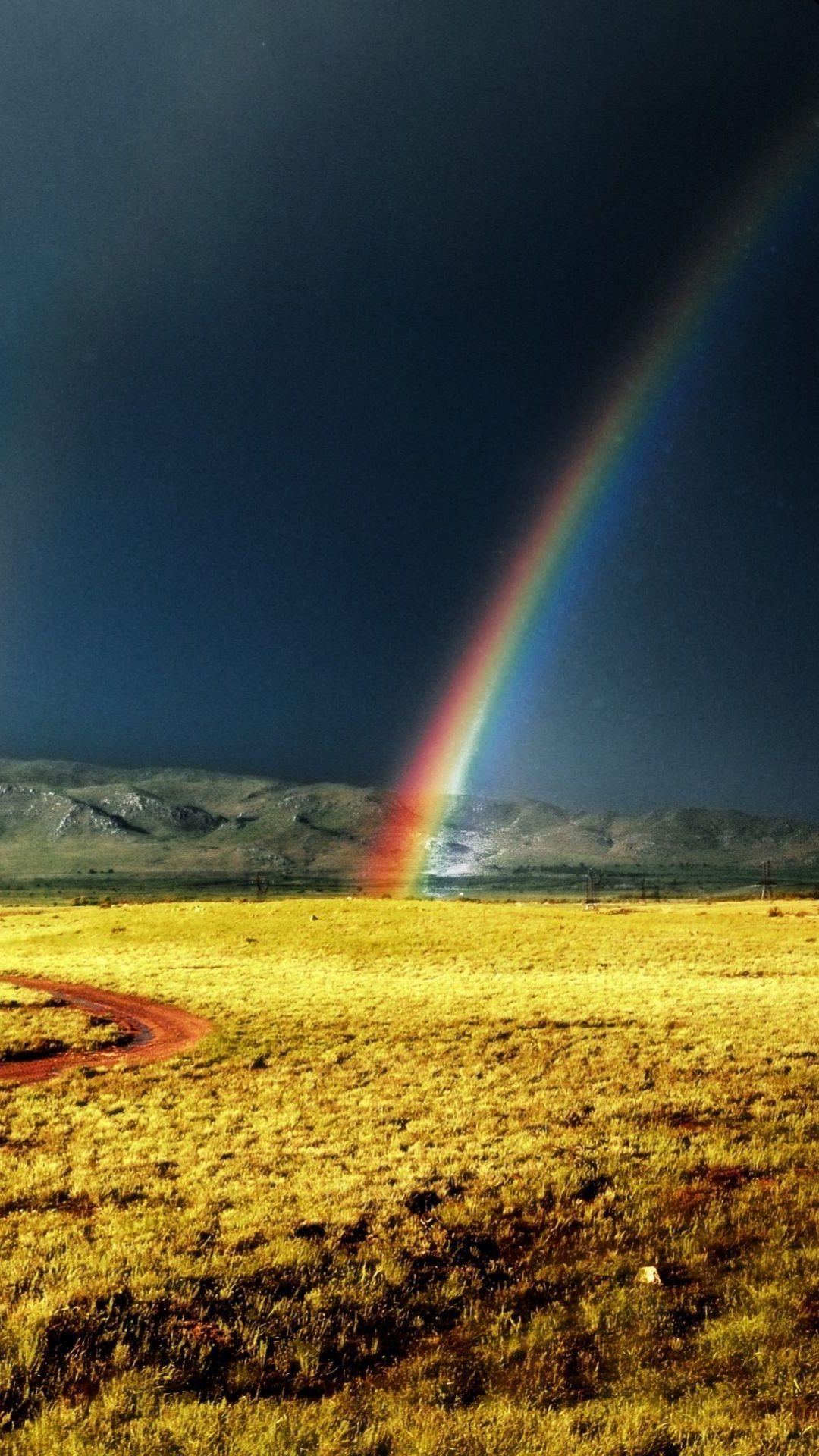1080x1920 Rainbow After Storm Yellow Field iPhone 6 Plus HD Wallpaper