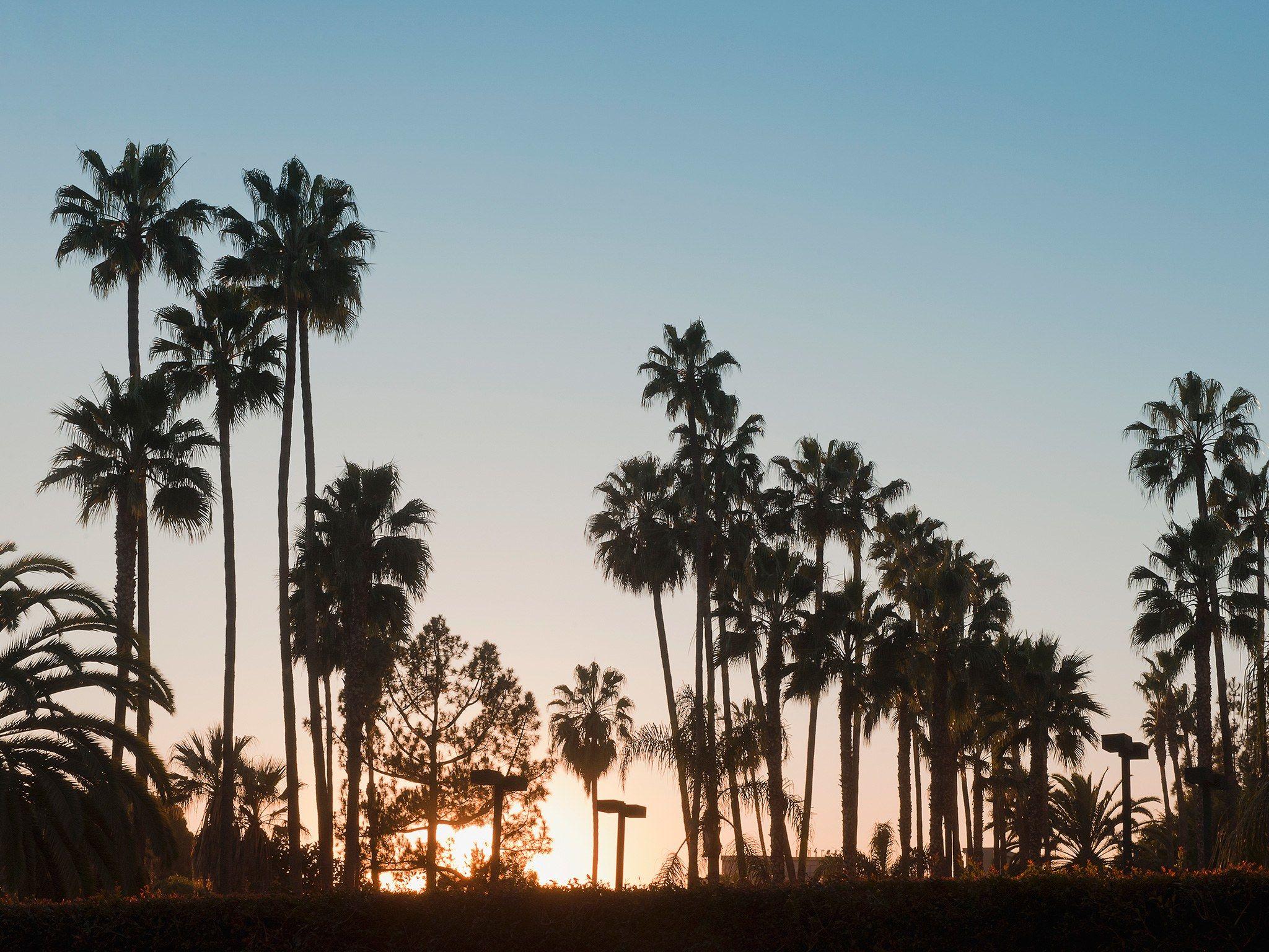 La Wallpapers - Top Free La Backgrounds - WallpaperAccess